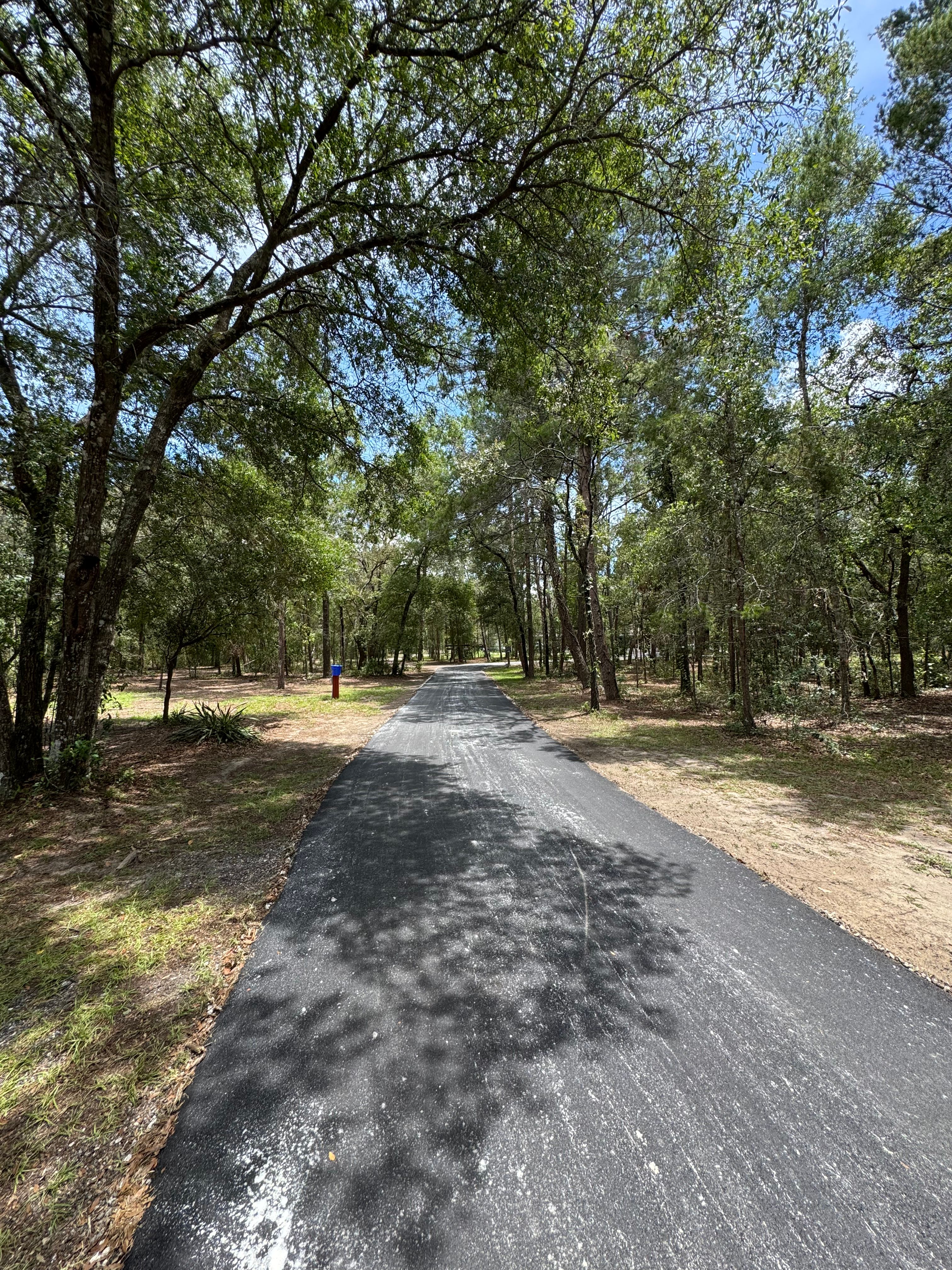 Completed asphalt driveway through a wooded residential property