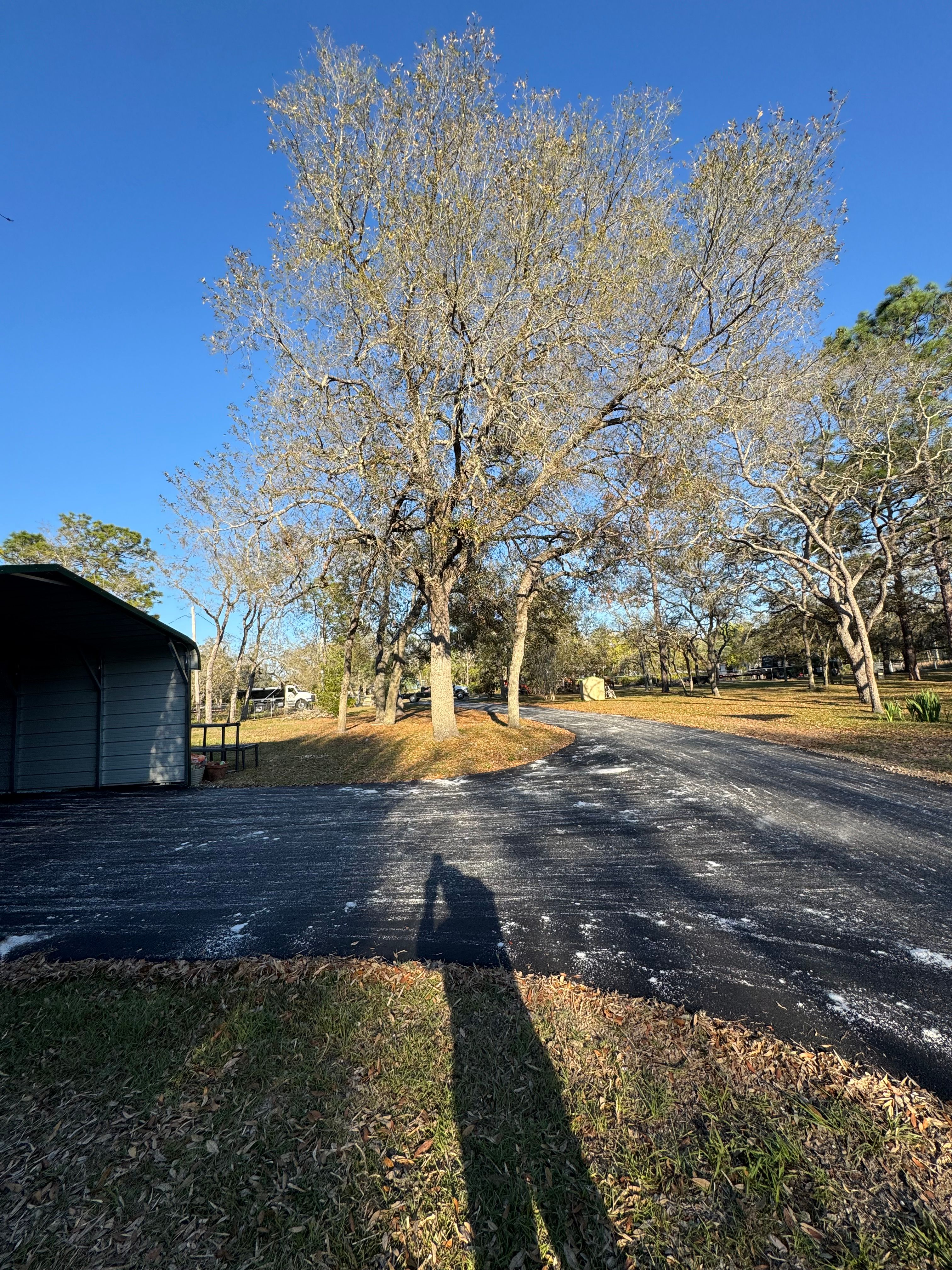 Surfaced residential driveway leading to a detached garage