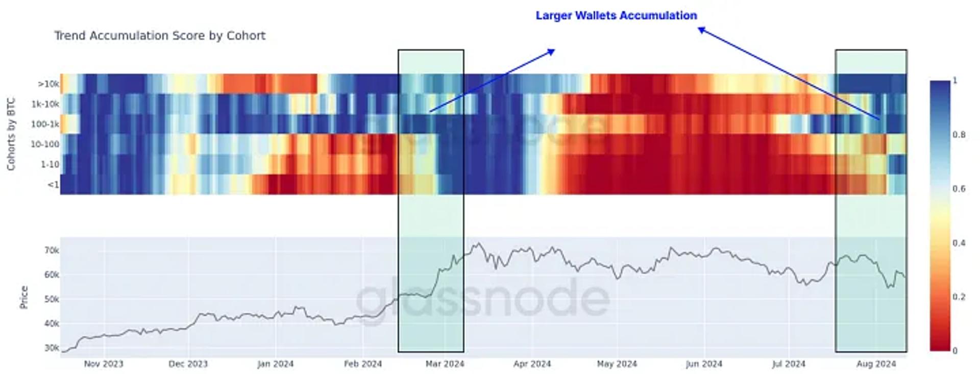 Bitcoin Accumulation Chart: A graph depicting the shift in Bitcoin accumulation, highlighting the period after extensive supply distribution where Bitcoin whales are returning to accumulation. This visual shows increased holdings by long-term investors, indicating a growing confidence in Bitcoin’s future value.