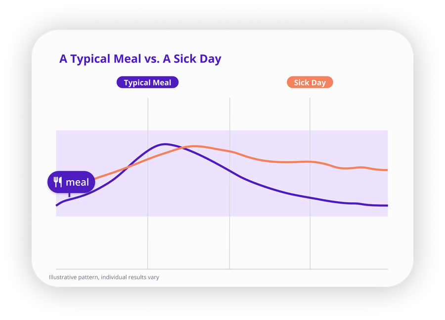 Illustrative glucose curves: after a typical meal glucose peaks and returns toward baseline, while on a sick day it rises more slowly and stays elevated for hours
