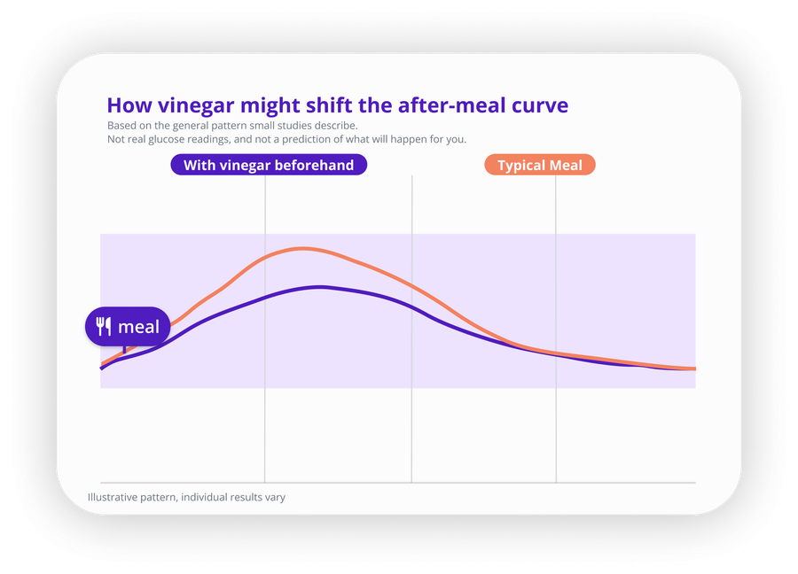 Illustrative glucose curves after the same meal: with vinegar beforehand the curve rises more slowly and peaks lower than the typical-meal curve, and both return to baseline at about the same time