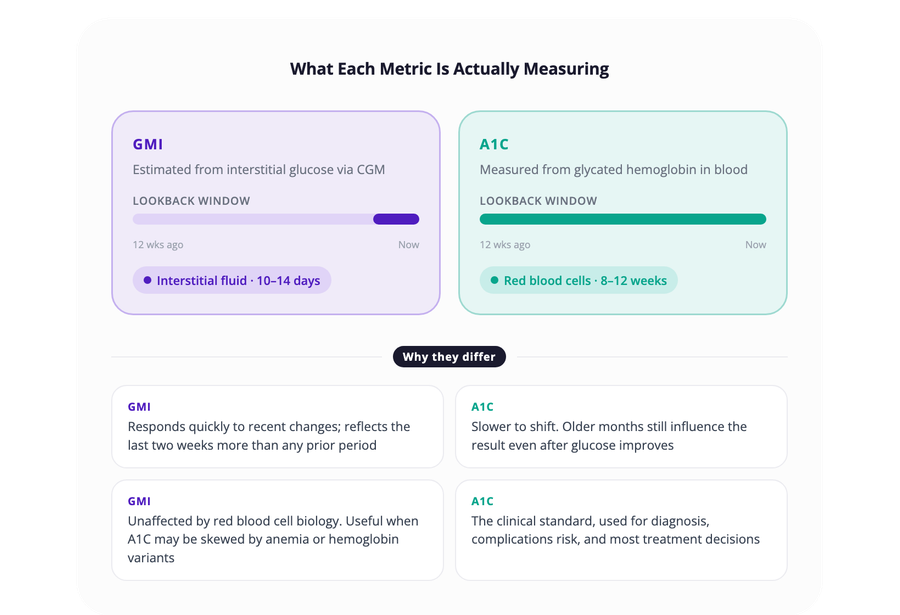 Comparison of what GMI and A1C each measure: GMI estimates interstitial glucose from CGM over 10 to 14 days, A1C measures glycated hemoglobin over 8 to 12 weeks, and why the two metrics differ.
