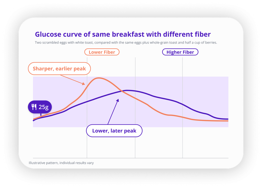 Line chart comparing glucose curves for the same breakfast eaten two ways. The lower fiber version rises to a sharp, early peak. The higher fiber version rises more gradually to a lower, later peak. Both settle back toward baseline by the end. Illustrative pattern.