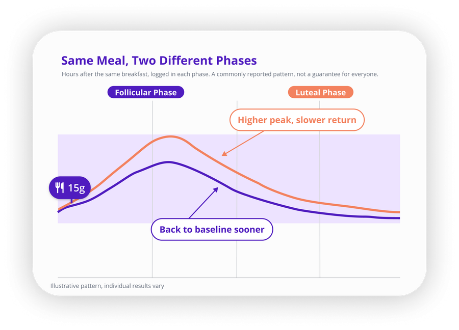 Line chart comparing glucose response to the same breakfast in the follicular and luteal phases. The luteal curve rises higher and returns to baseline more slowly than the follicular curve.
