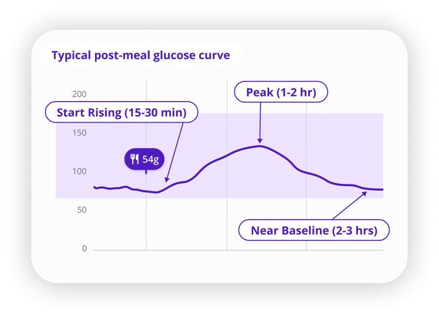 Typical post-meal glucose curve showing rise, peak, and return to baseline