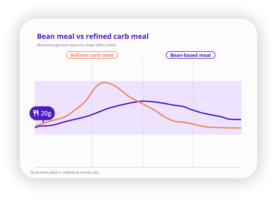 Line chart comparing the glucose response to a bean-based meal and a refined carbohydrate meal, both containing 20 grams of carbohydrate. The refined carb line climbs steeply, peaks early and high, then falls away. The bean line rises gradually, peaks later and lower, and is still on its way down when the refined carb line has already returned to where it started. The axes are unlabelled and the pattern is illustrative.