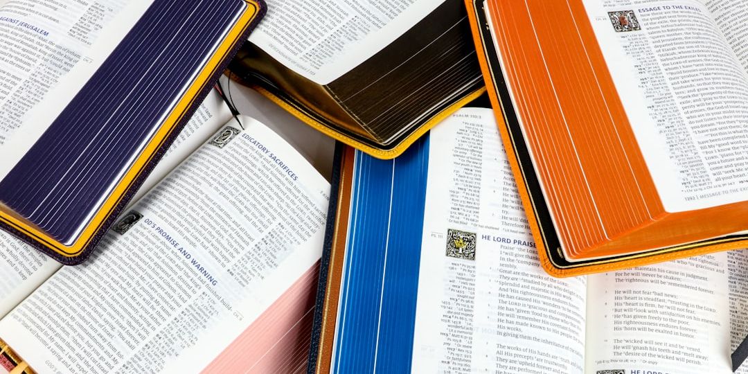 Humble Lamb on Unsplash