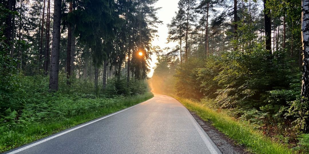 Tim Wehrmann on Unsplash