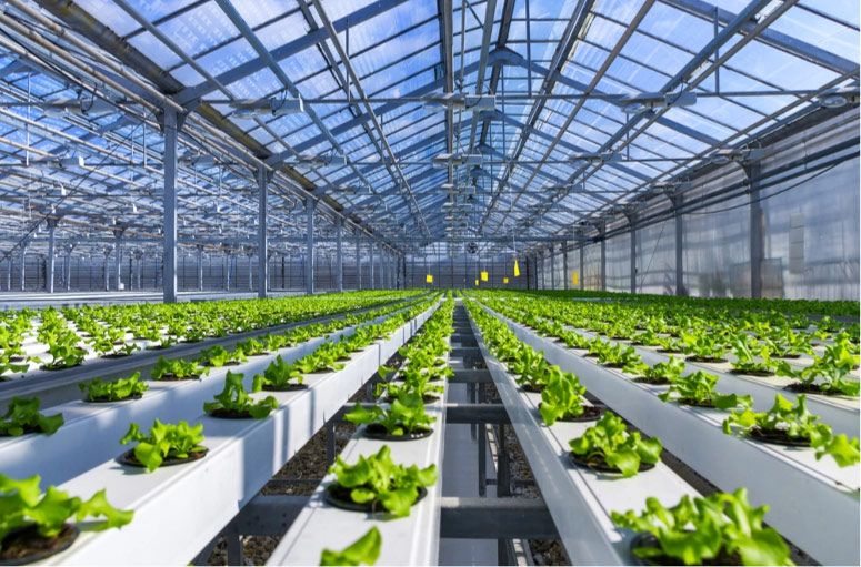 Hydroponic food producers will be able to use ‘waste heat’ generated by other occupiers