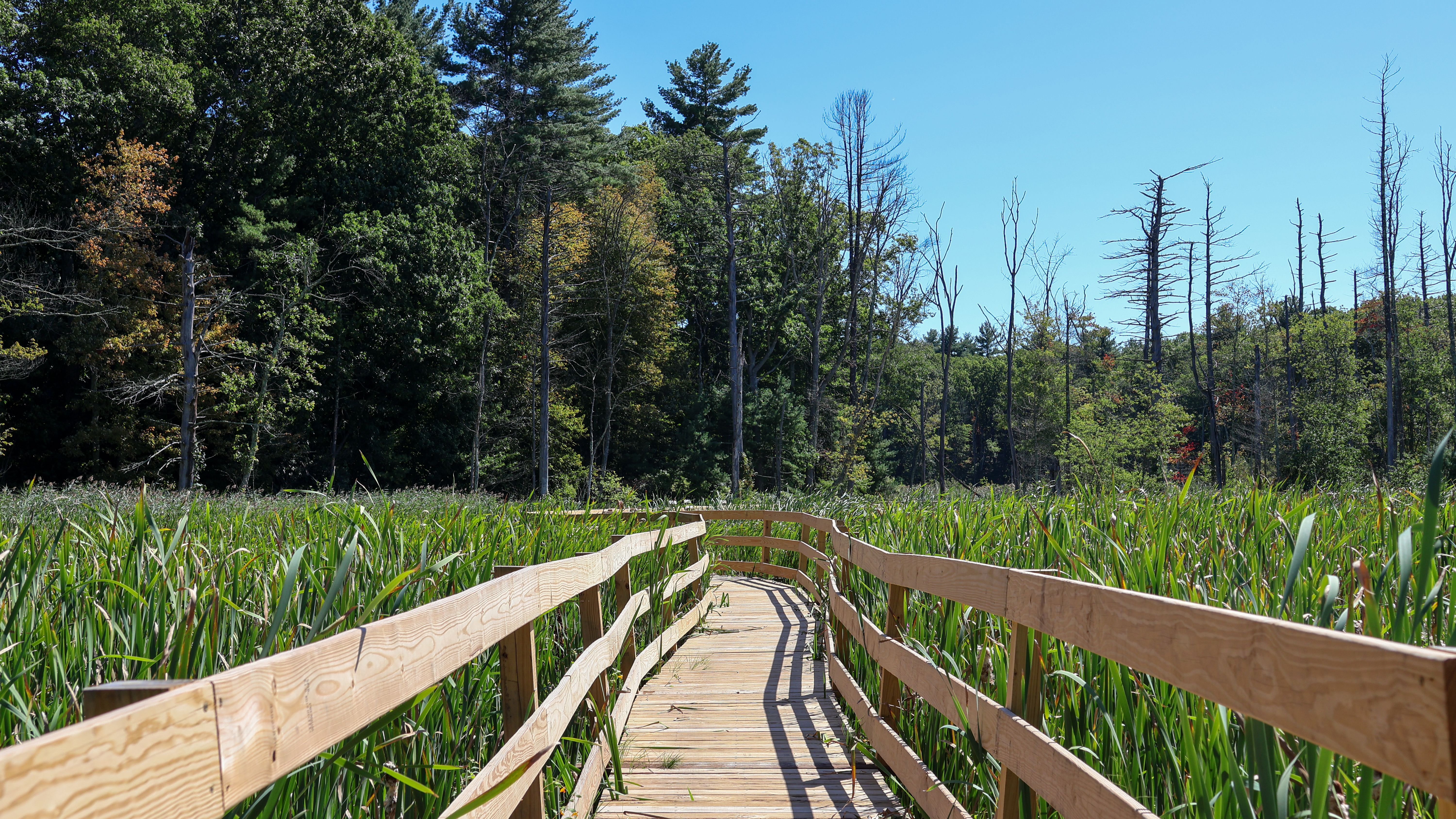 Andover Residents Invited to Complete Open Space and Recreation Survey