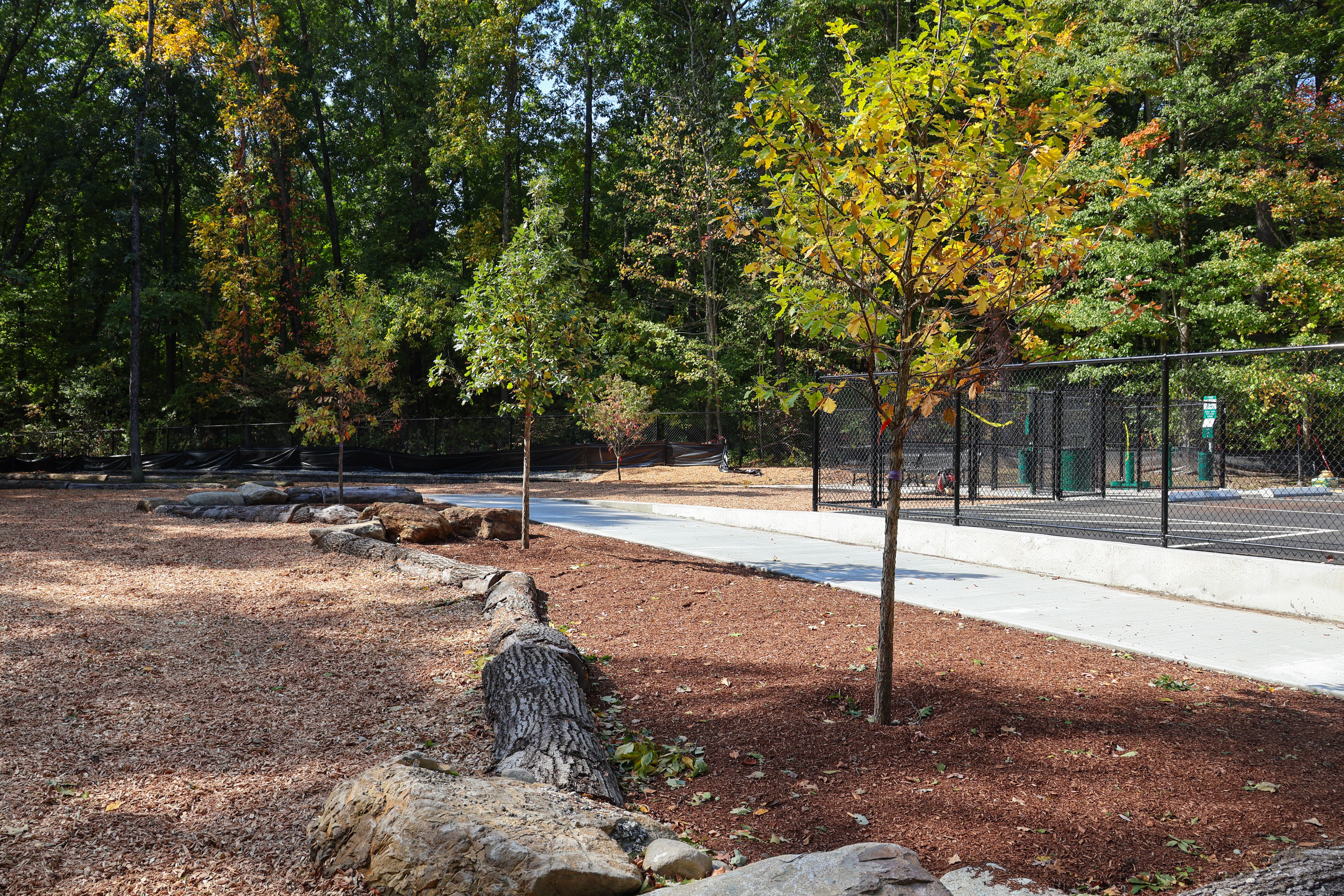 Andover Dog Park Reopens Following Renovations
