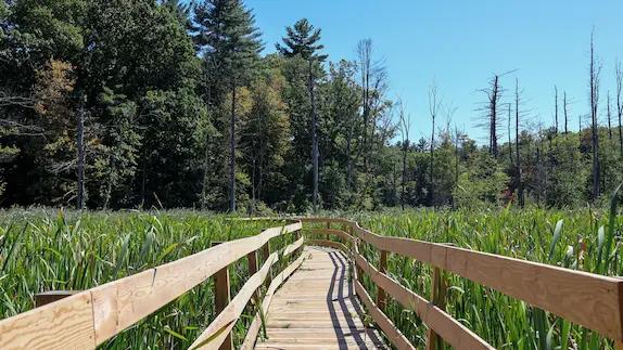 Andover Residents Invited to Complete Open Space and Recreation Survey
