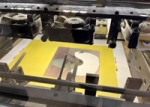 Ruth van Beek’s Houseplant Covered with Snow on press.