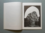 Ruth van Beek, Houseplants Covered with Snow (Dashwood Books, 2014).