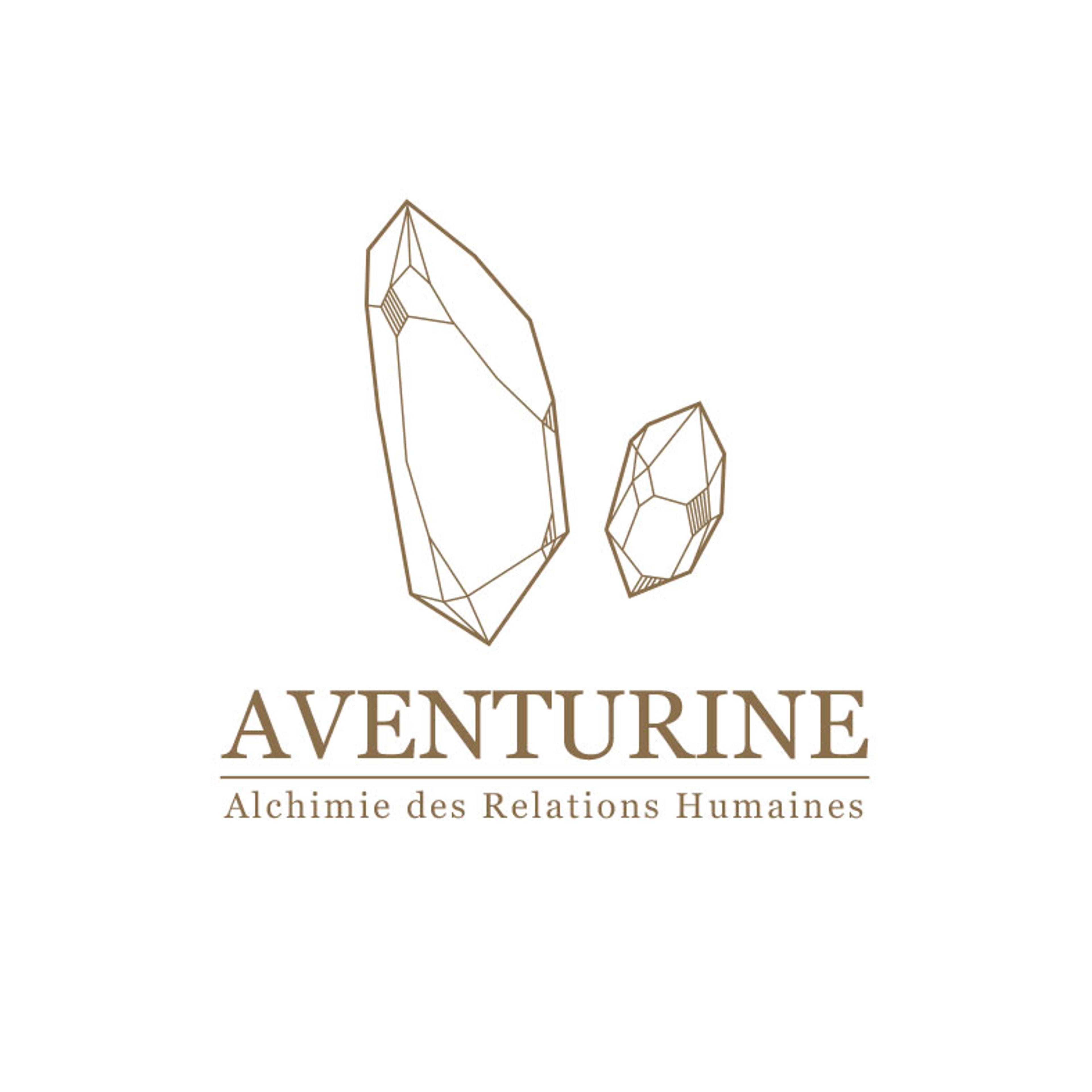 Création logo cabinet Ressources Humaines : Aventurine RH