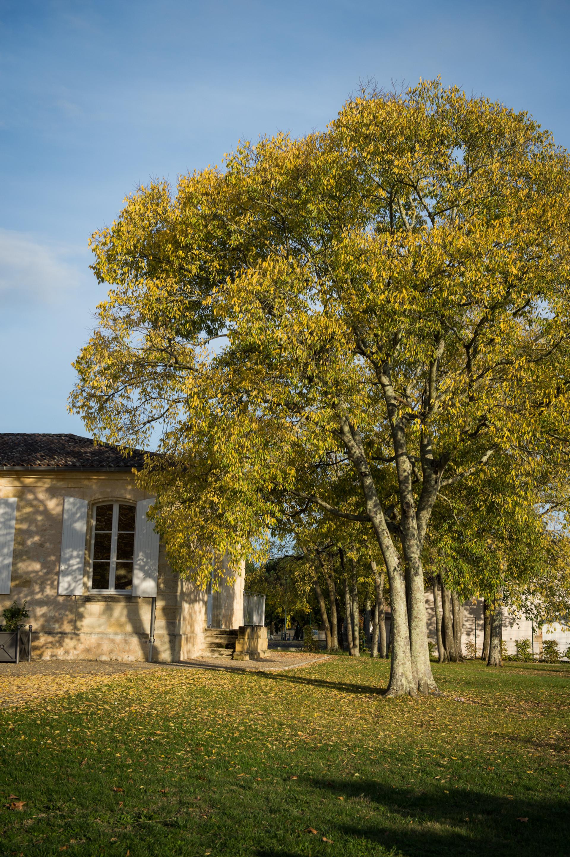 photo espace vert