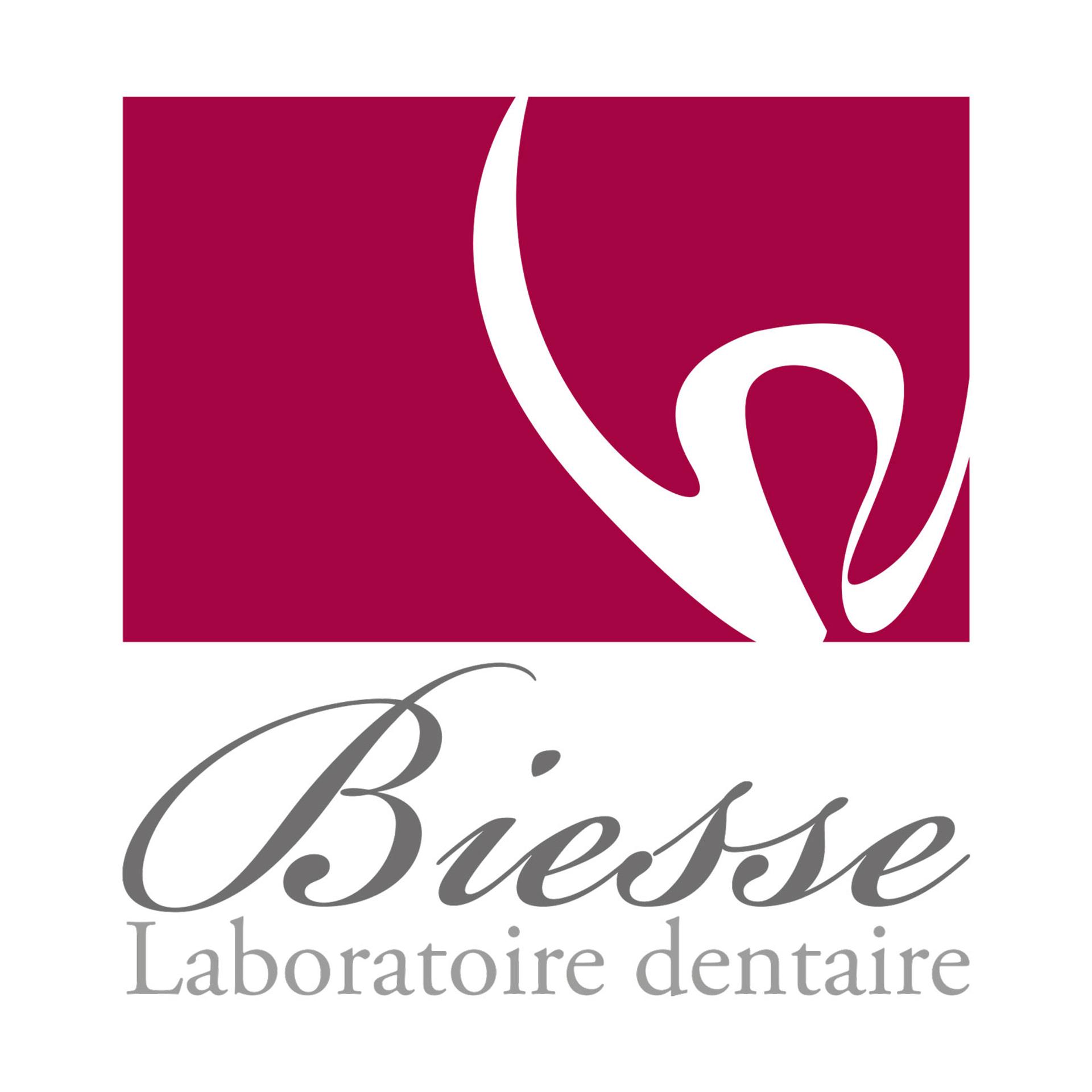 logo biesse