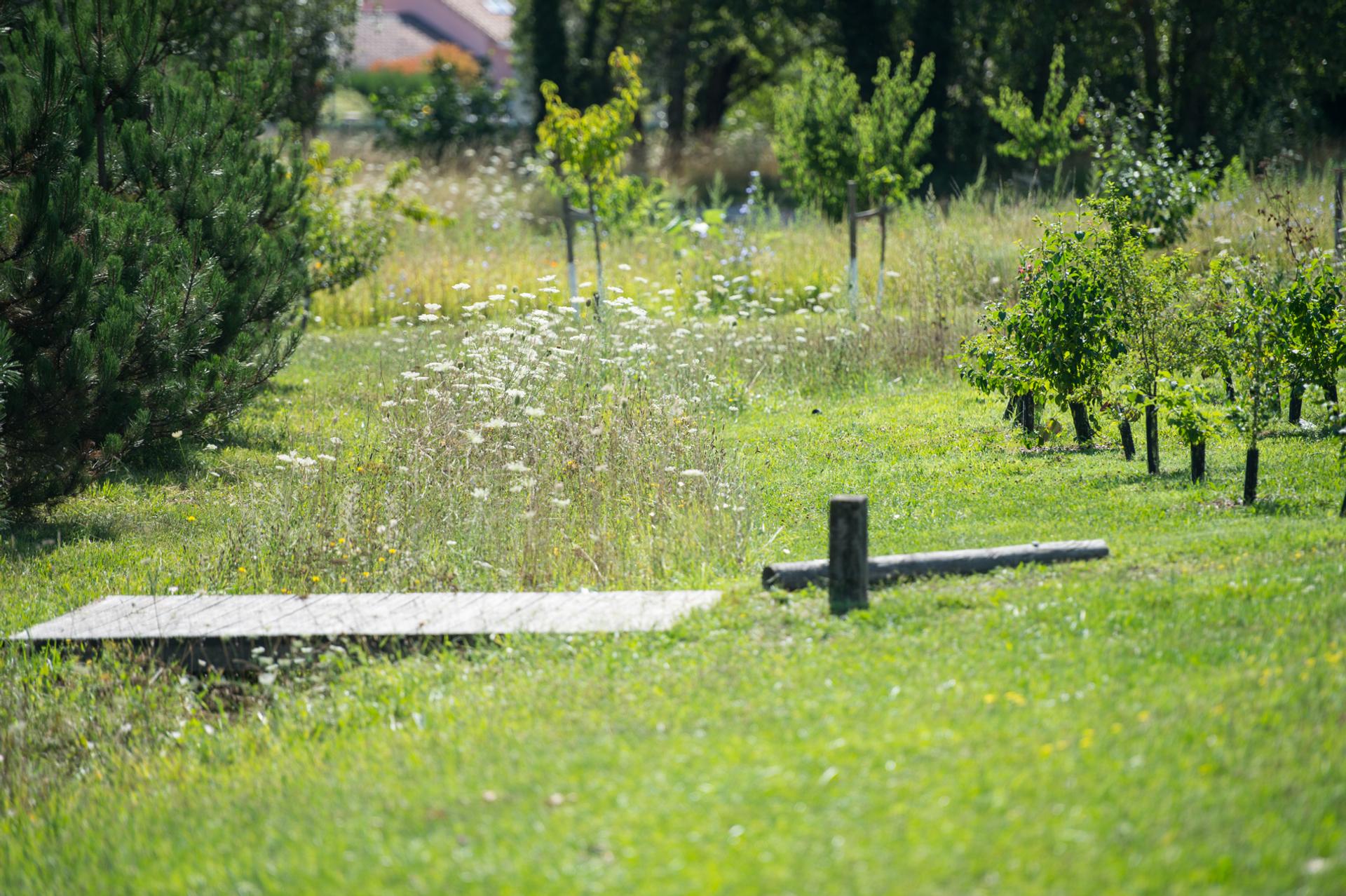 photo espace vert