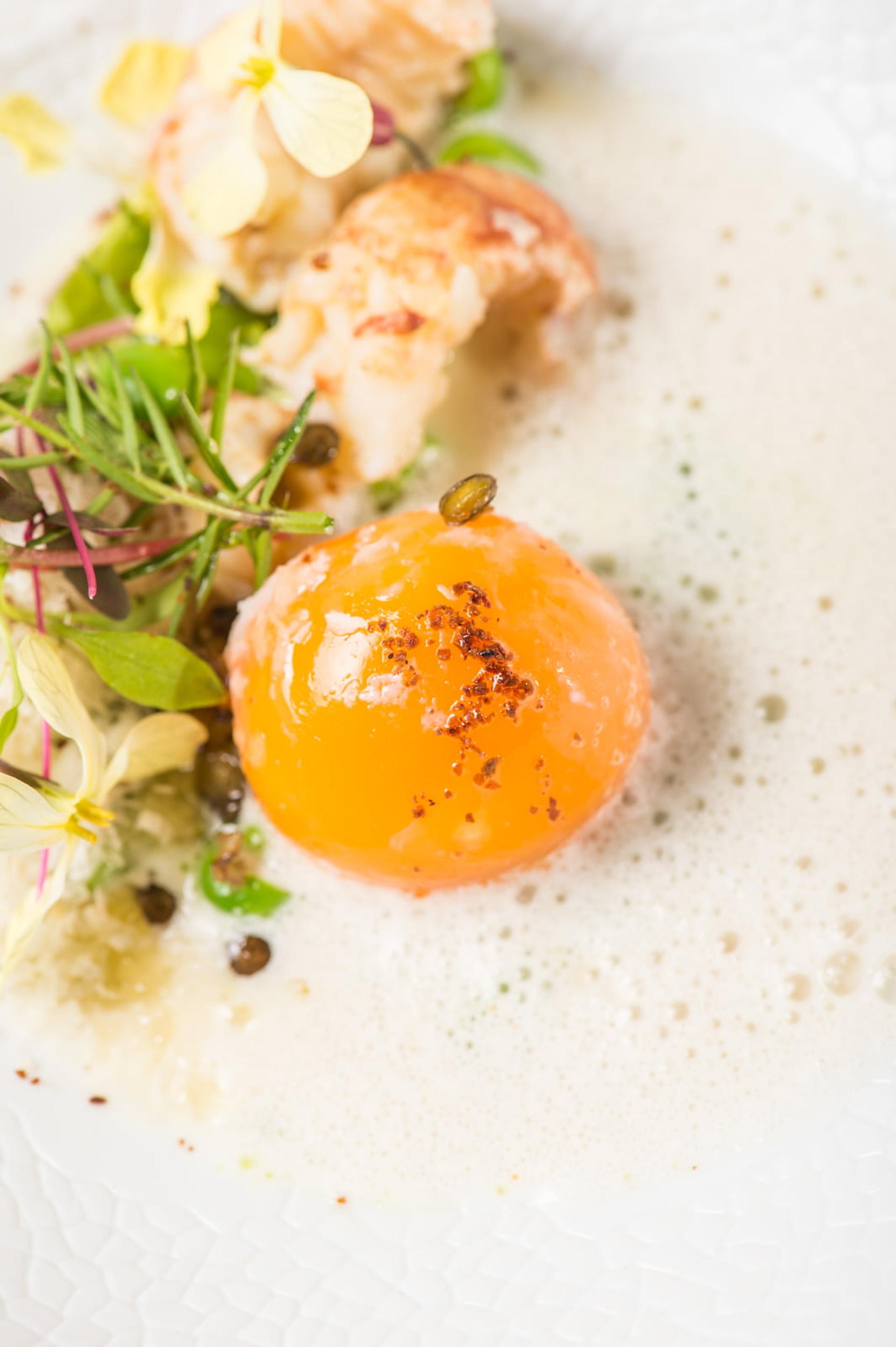 Photo grande gastronomie