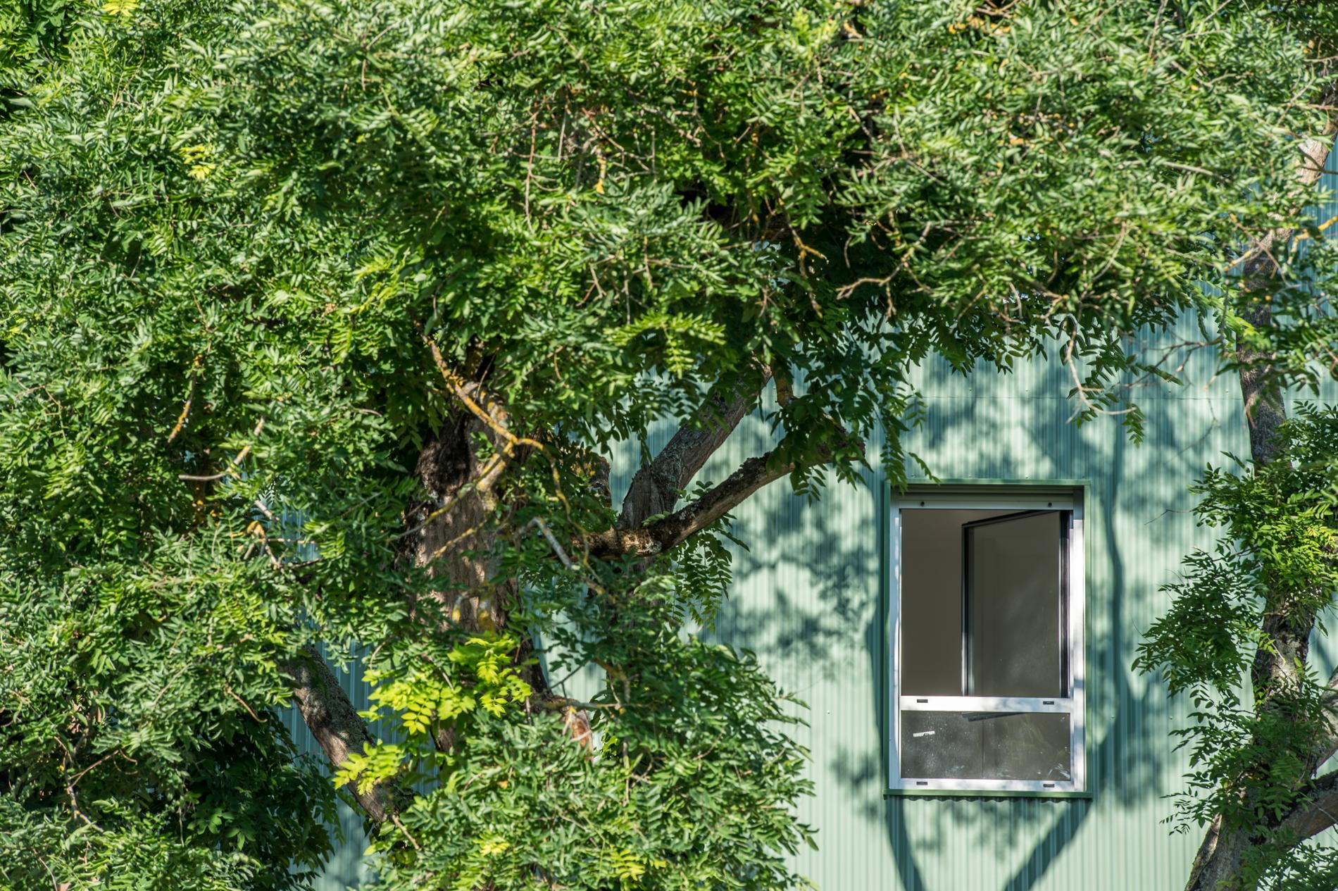 photo espace vert