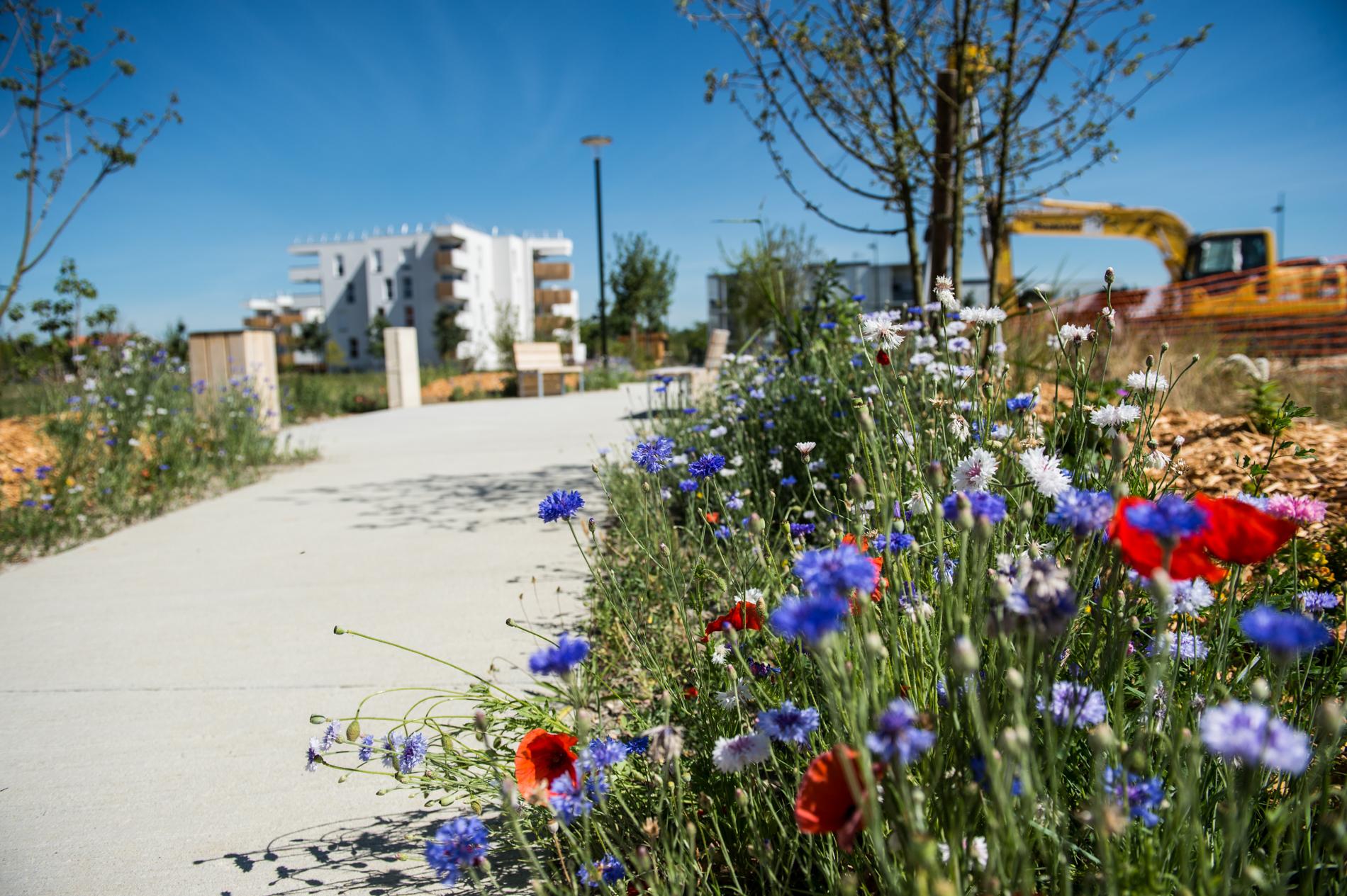 photo espace vert