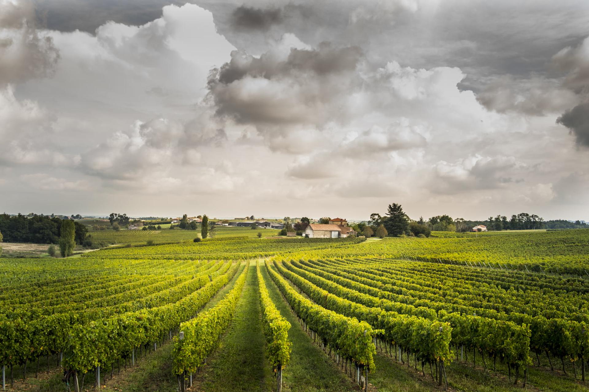 château PONTET BEL AIR