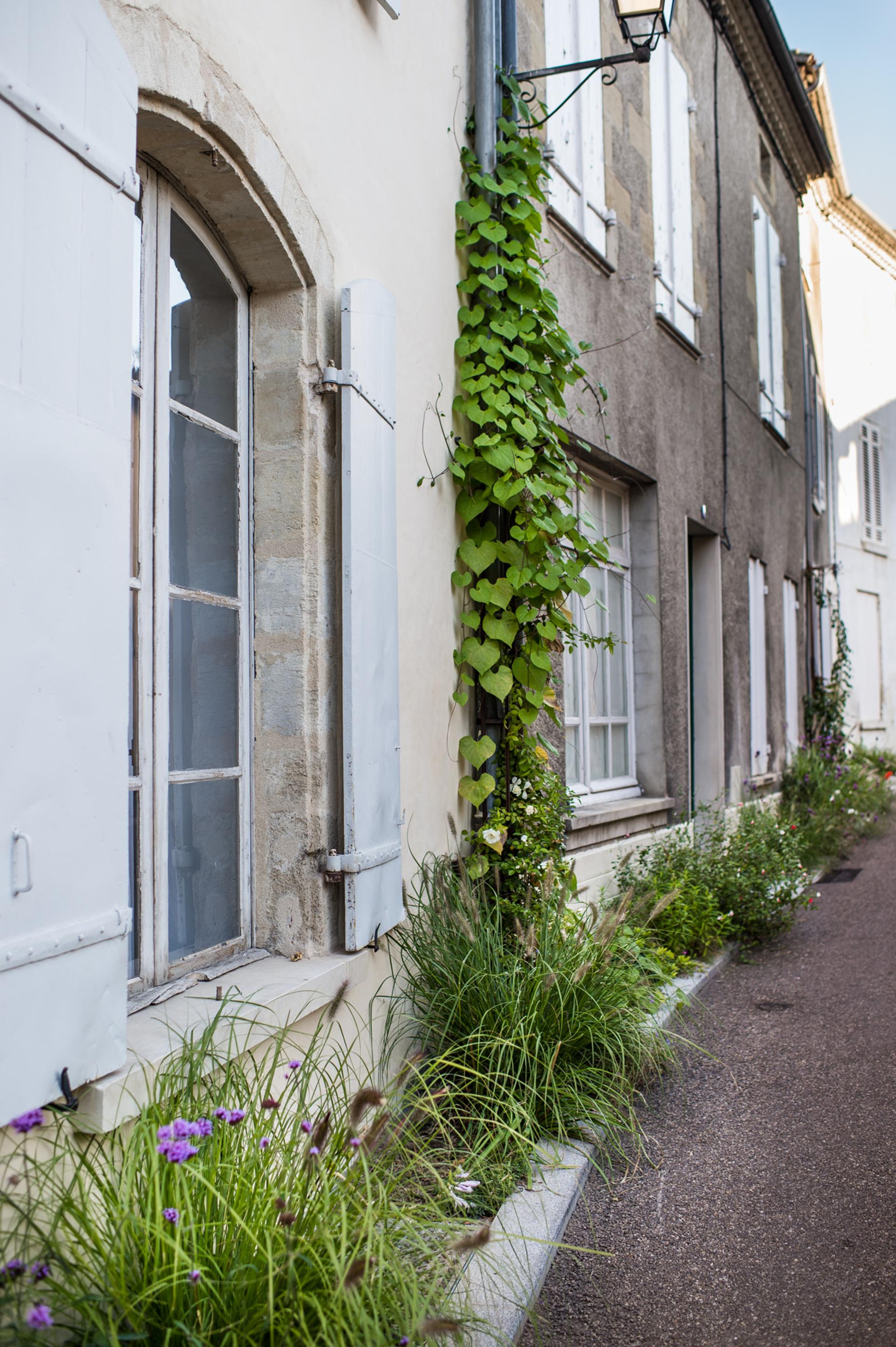 photo espace vert