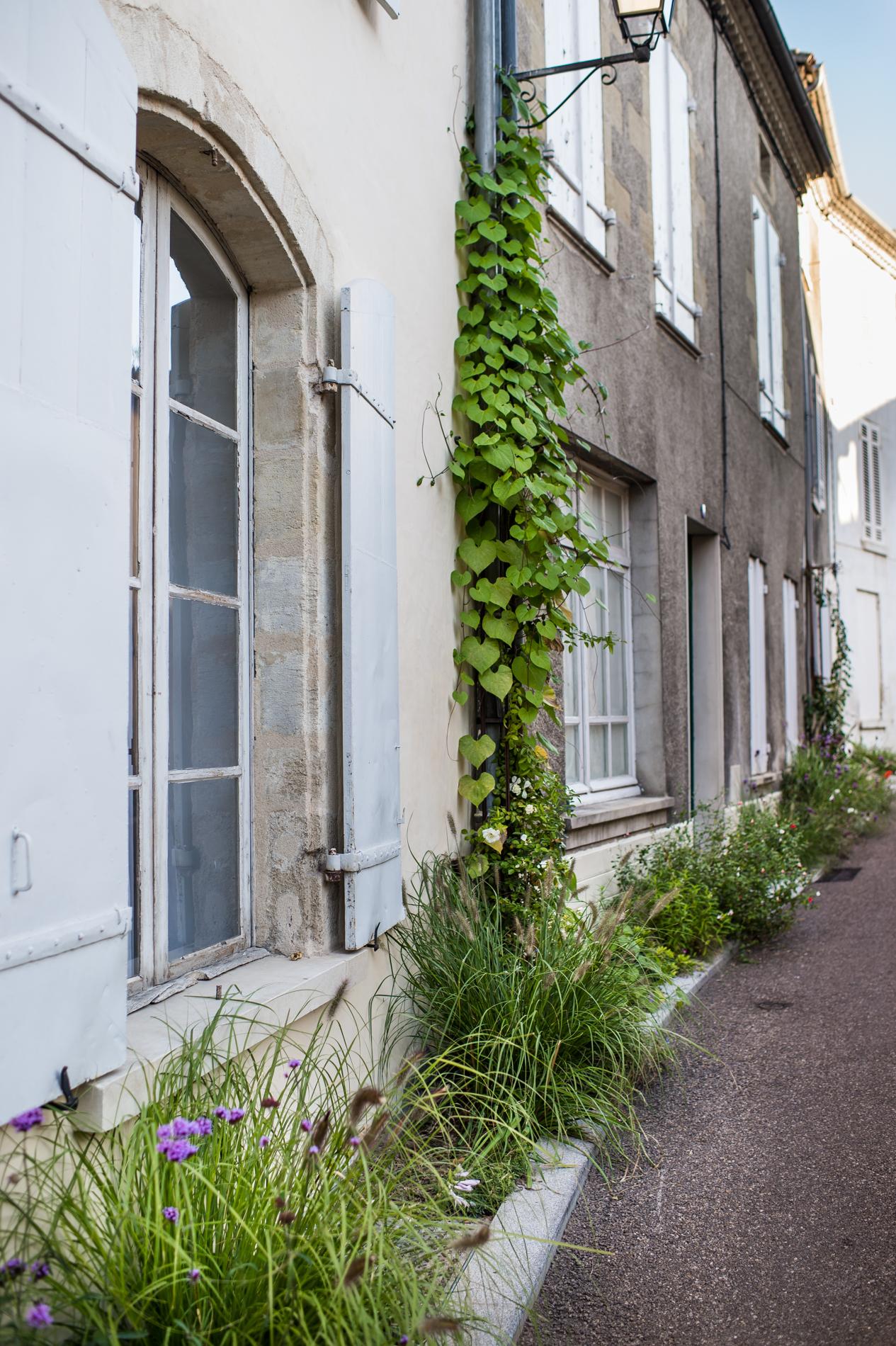 photo espace vert