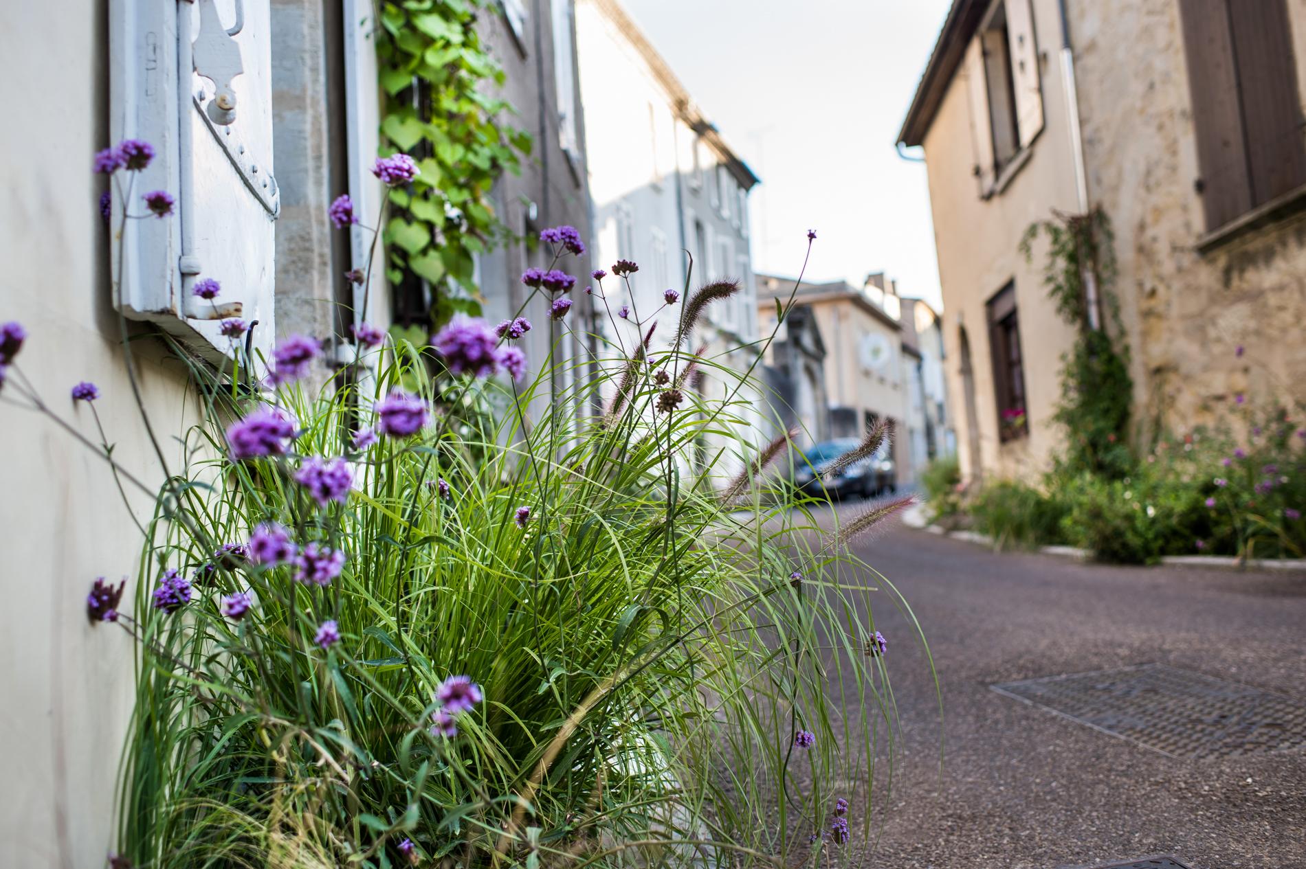 photo espace vert