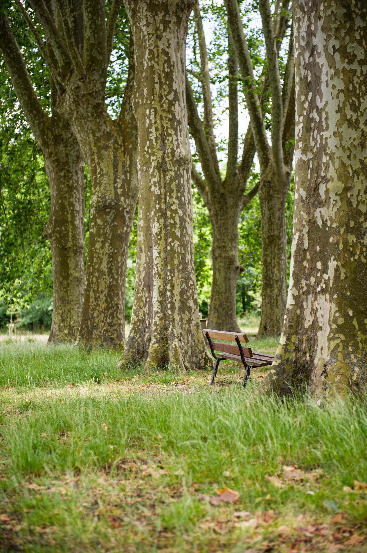 photo espace vert