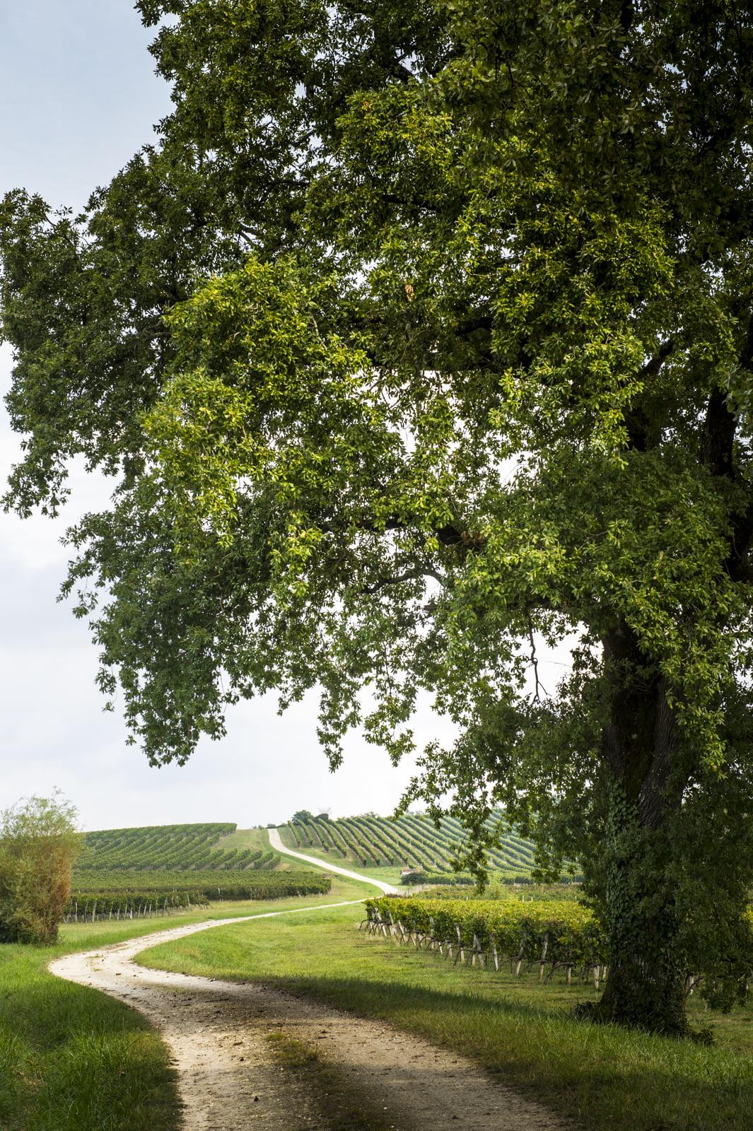PONTET BEL AIR : reportage photo château