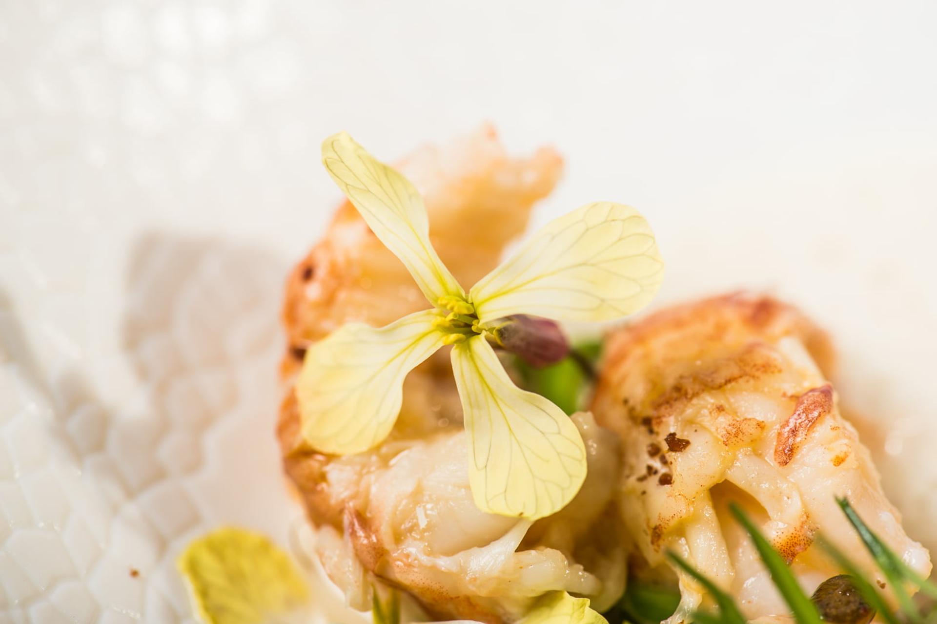 Photo grande gastronomie