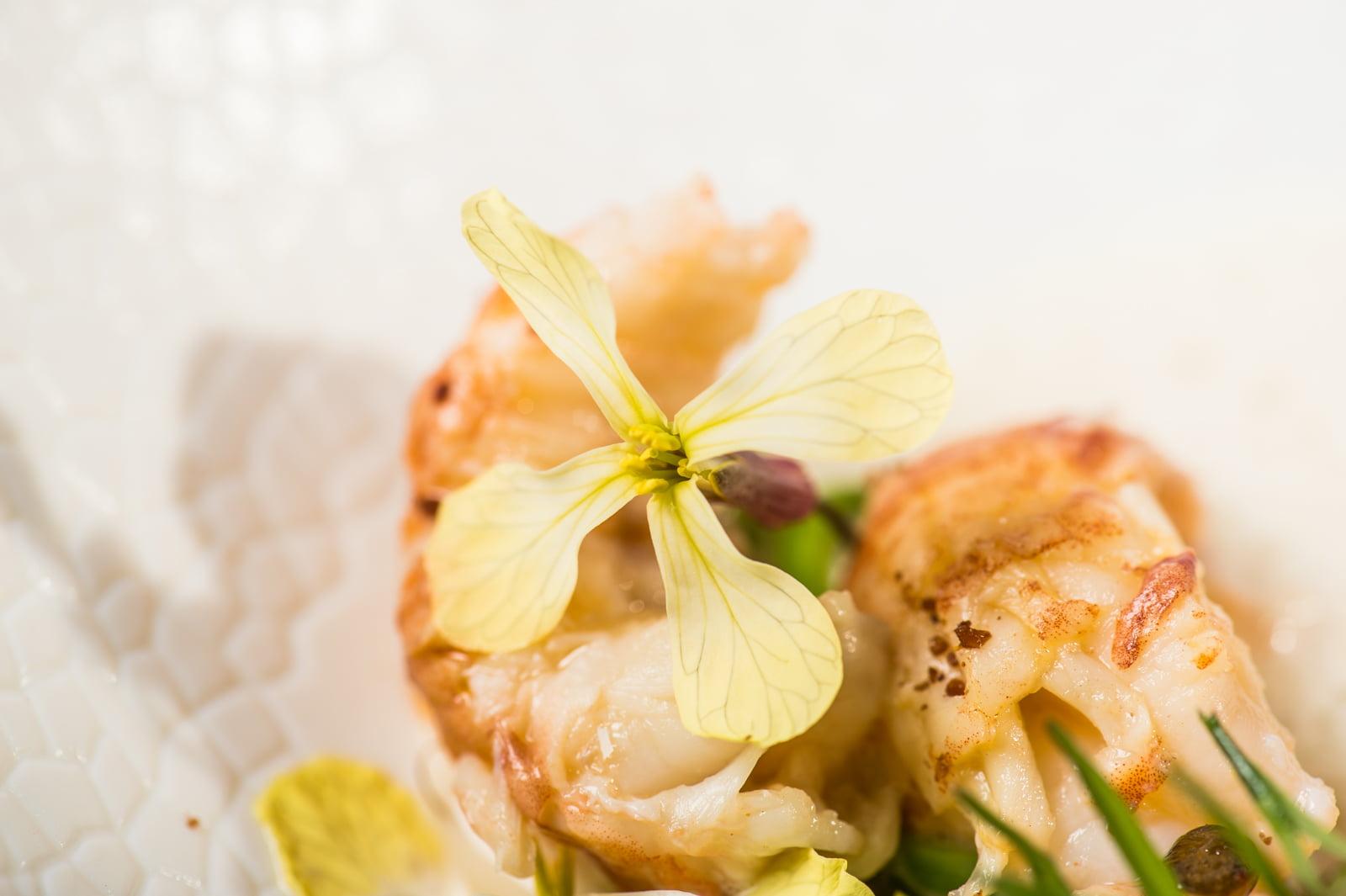 Photo grande gastronomie