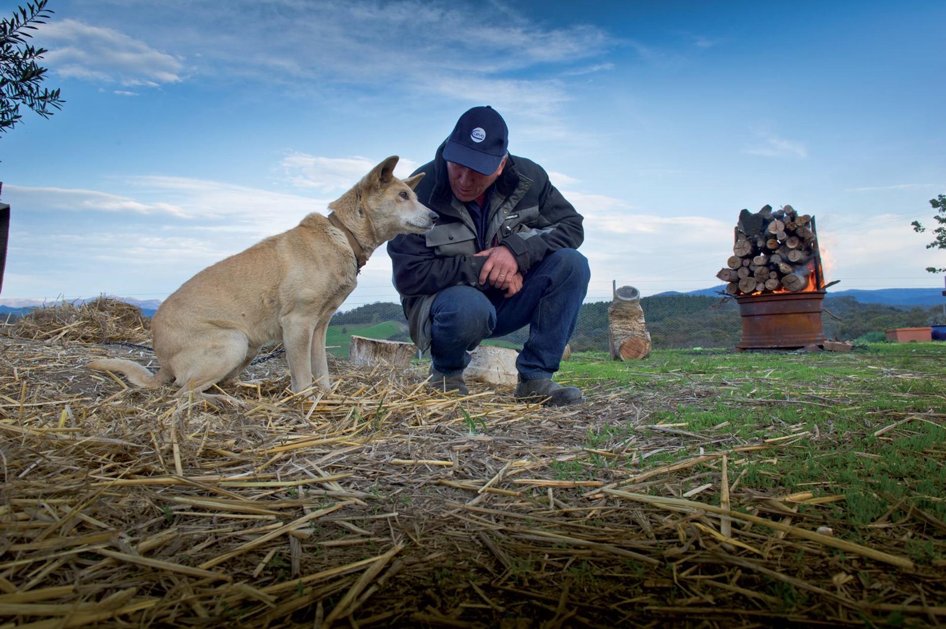 ceva santé animale
