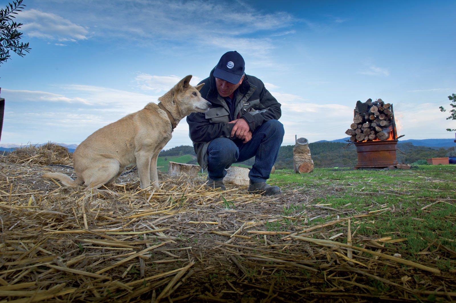 ceva santé animale