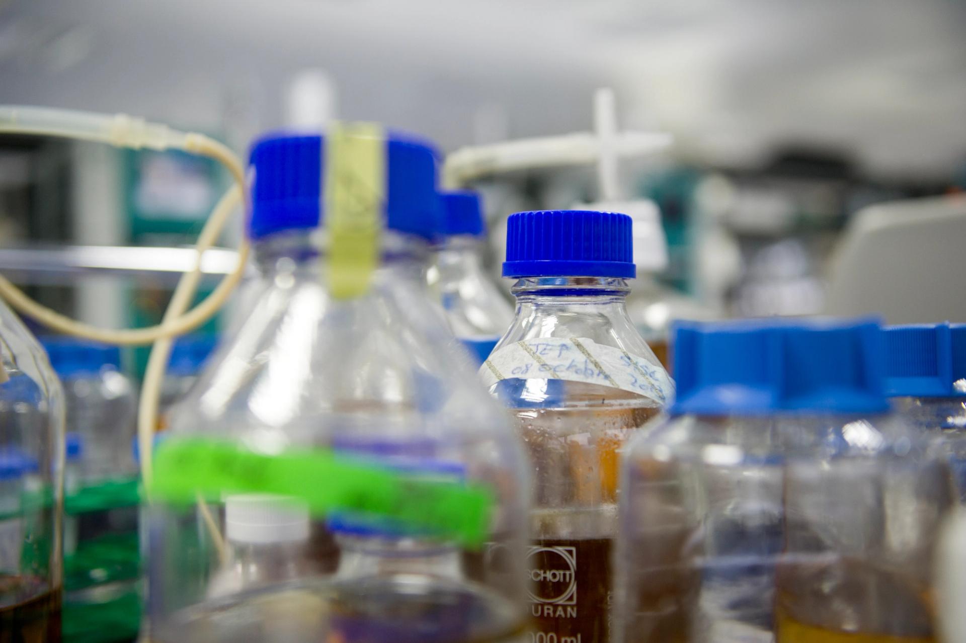 photo laboratoire Merck