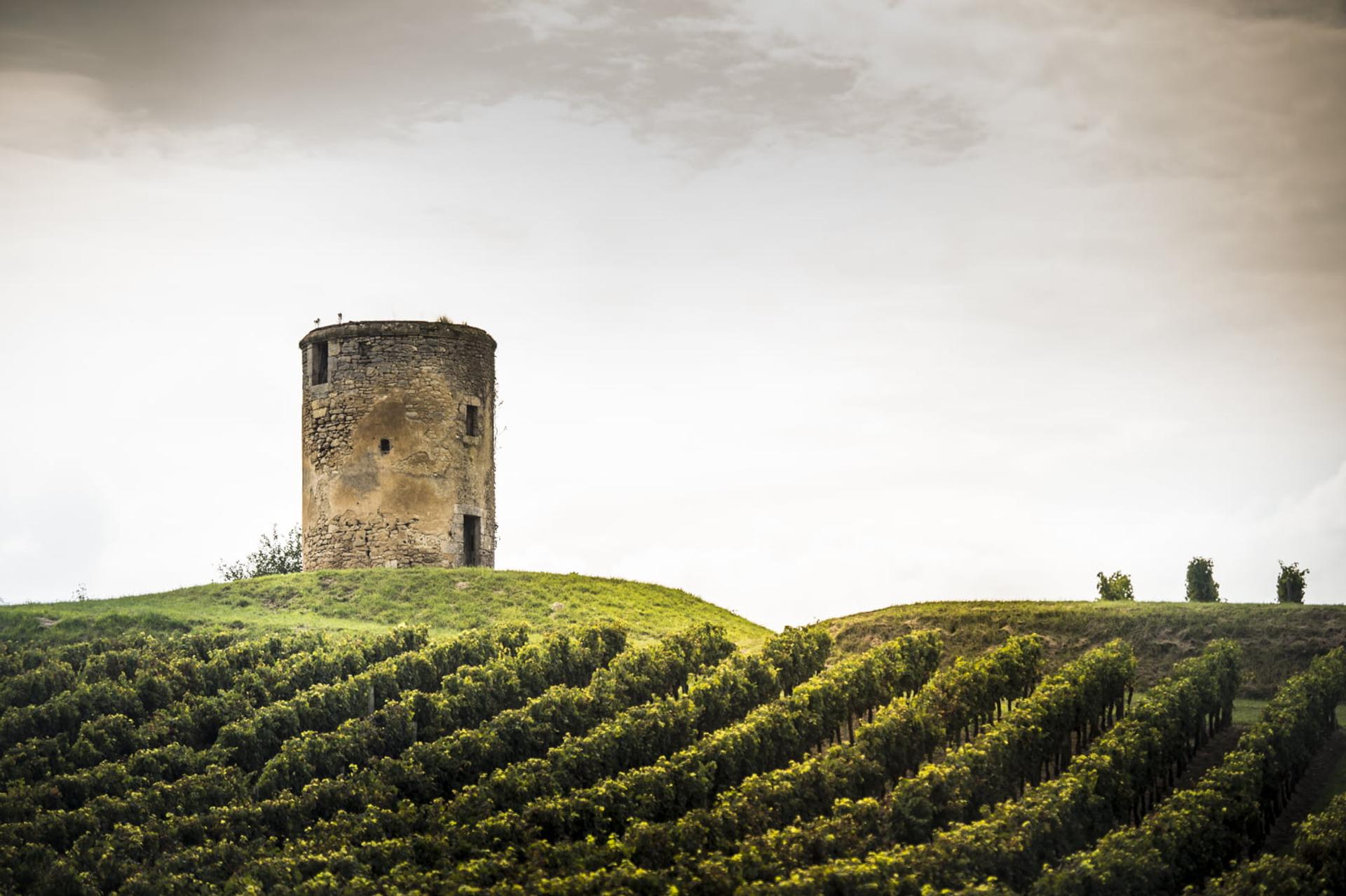 château PONTET BEL AIR