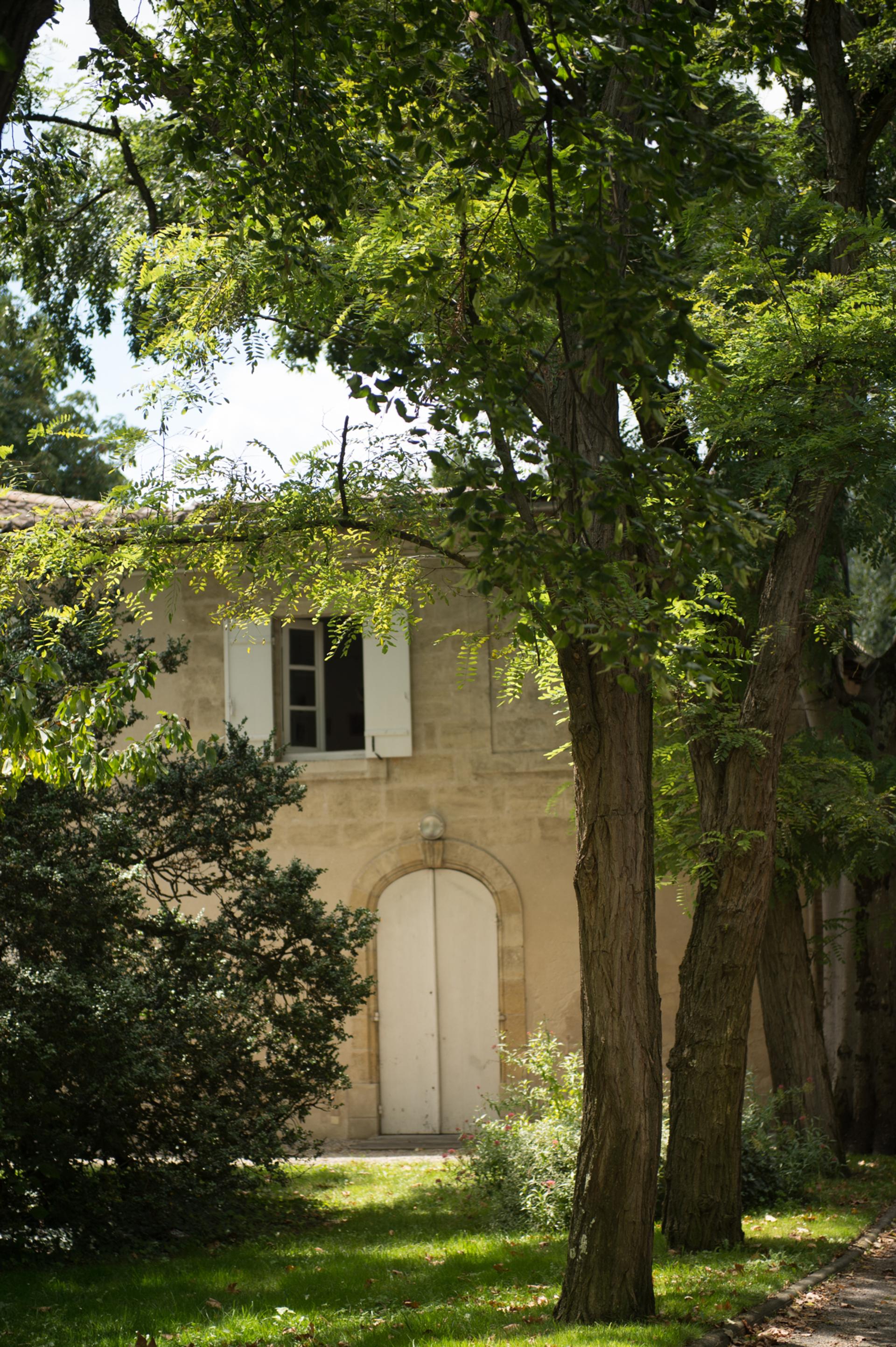 photo espace vert