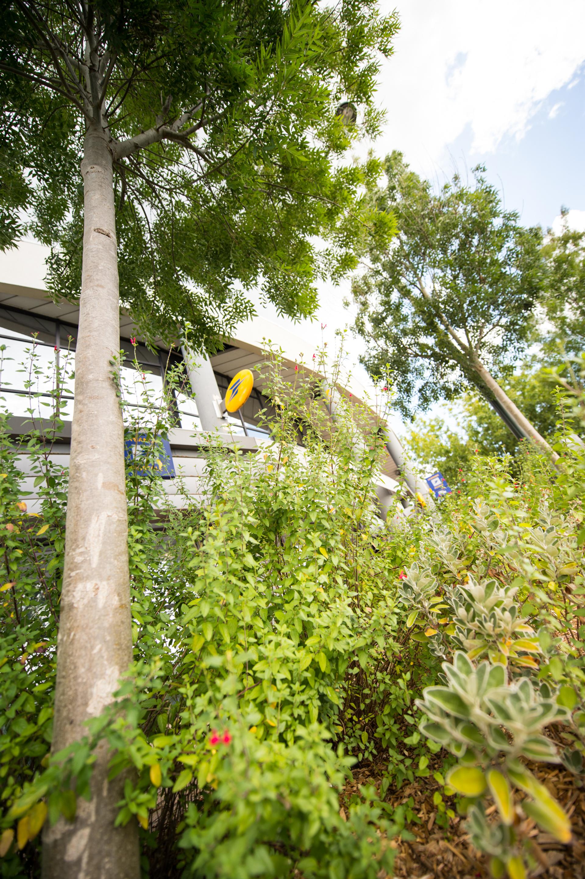 photo espace vert