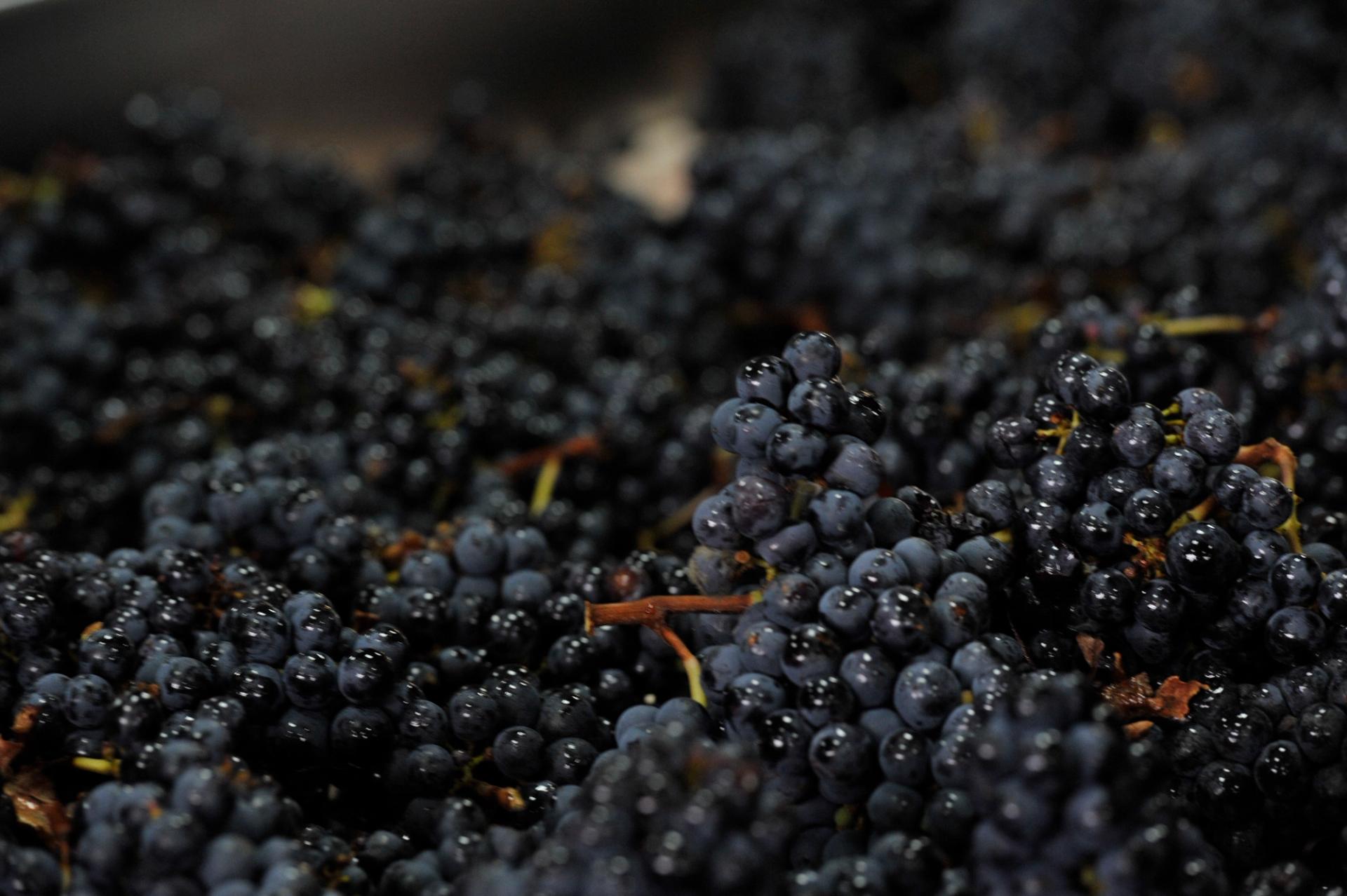 Grand cru bordelais