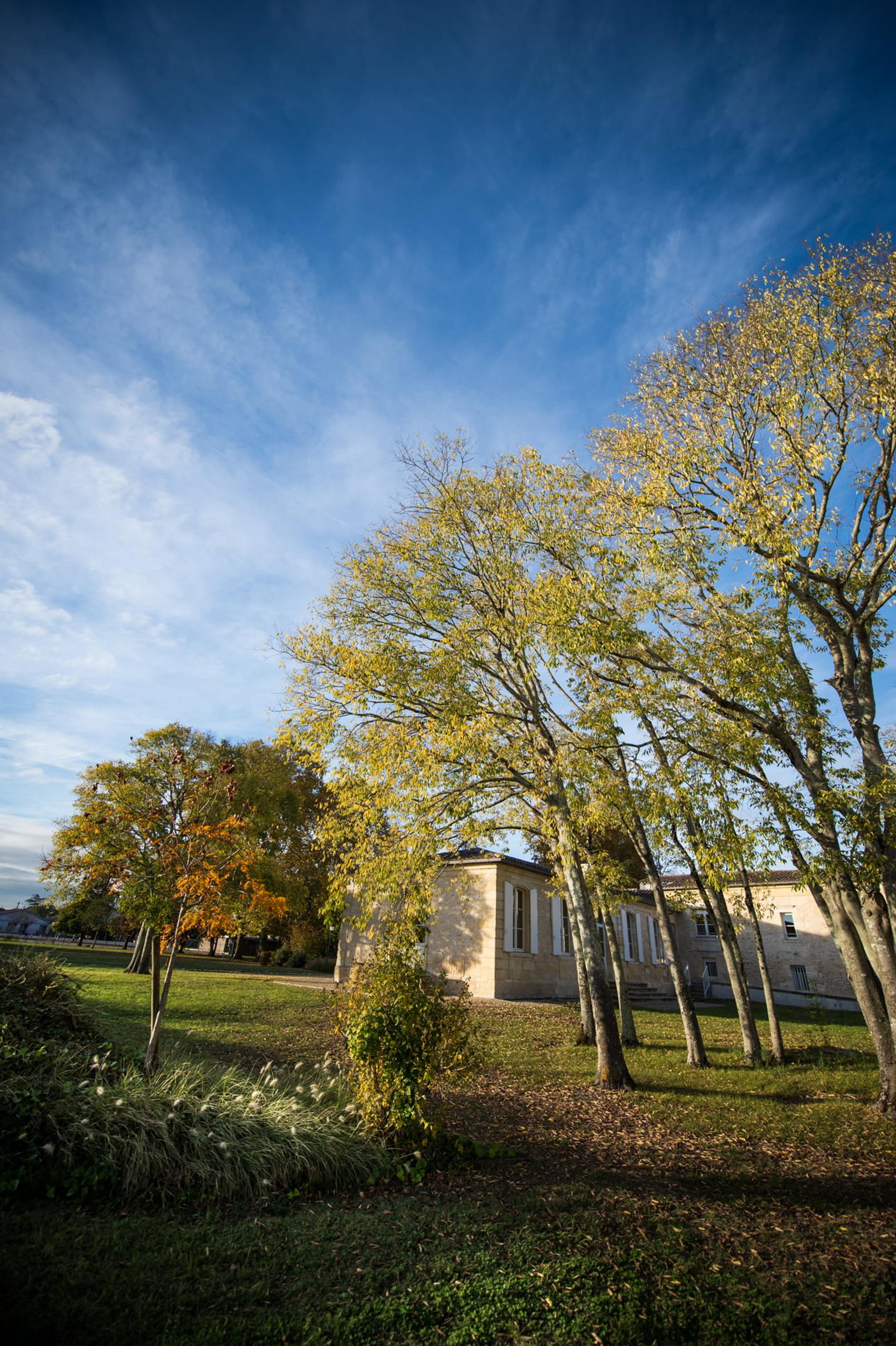 photo espace vert