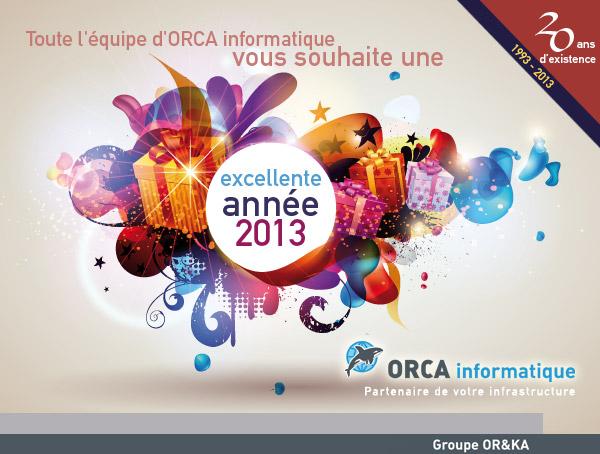 Vœux digitaux ORCA Informatique - 2013