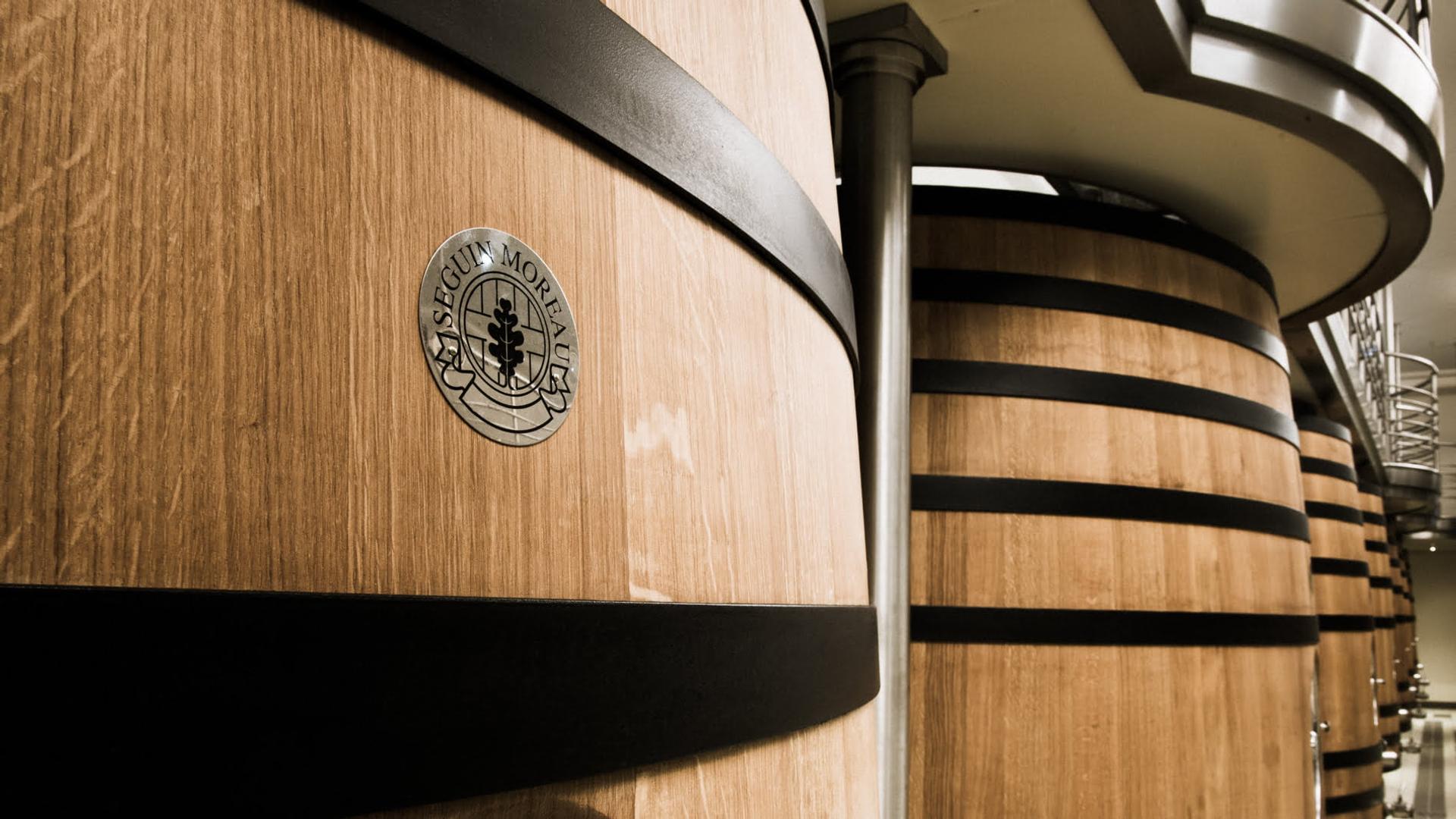vin saint emilion