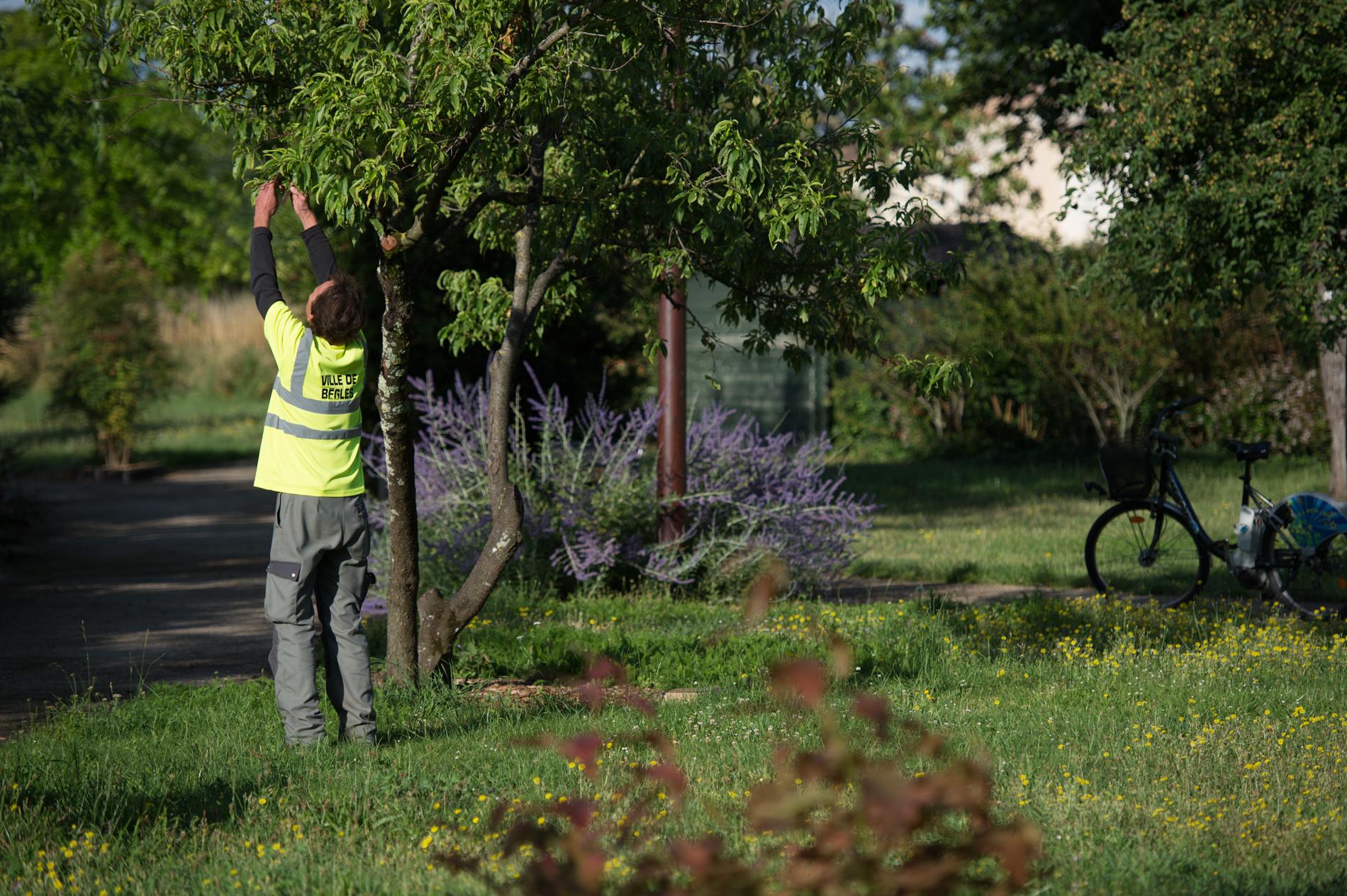 photo espace vert