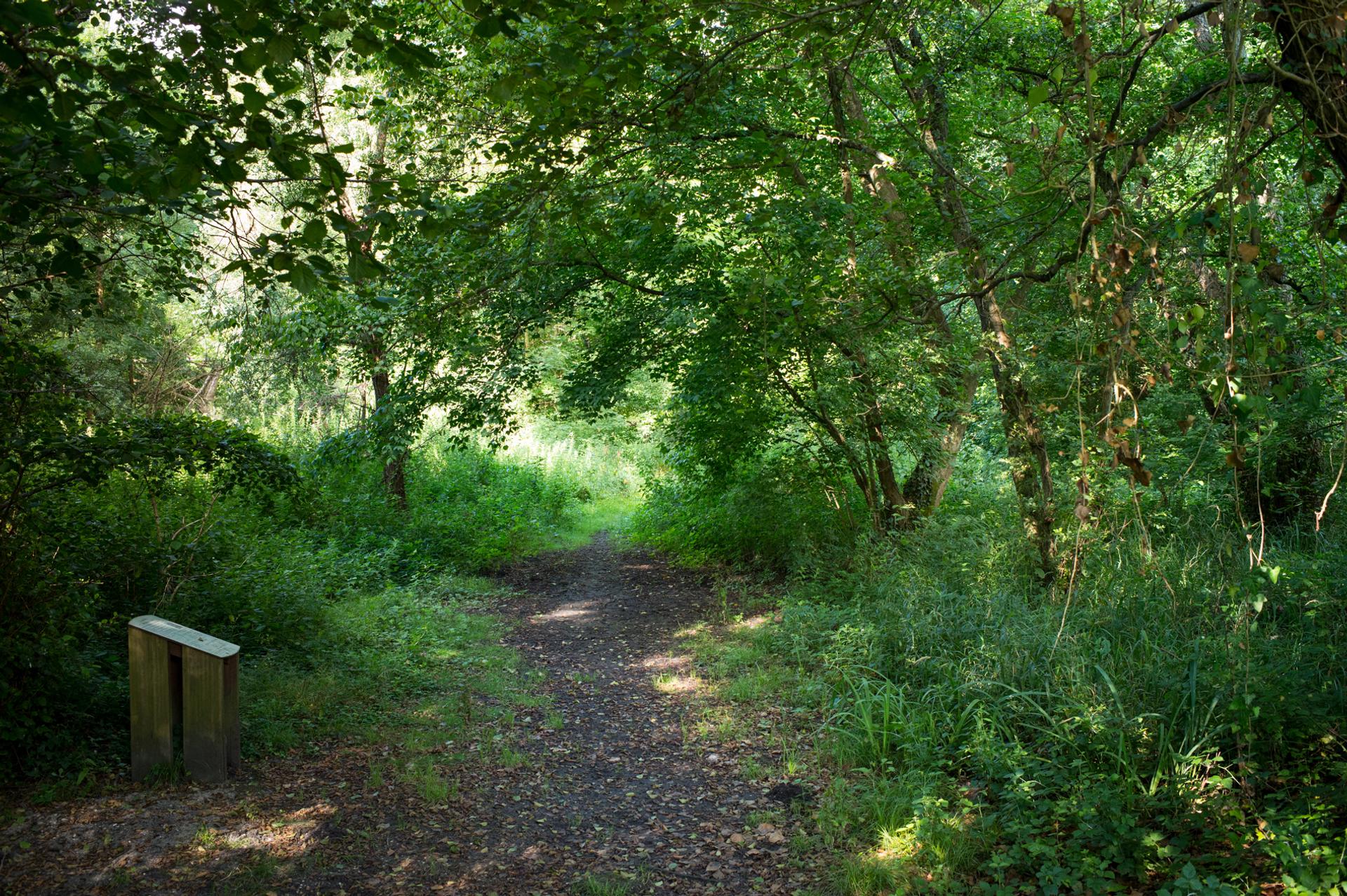 photo espace vert