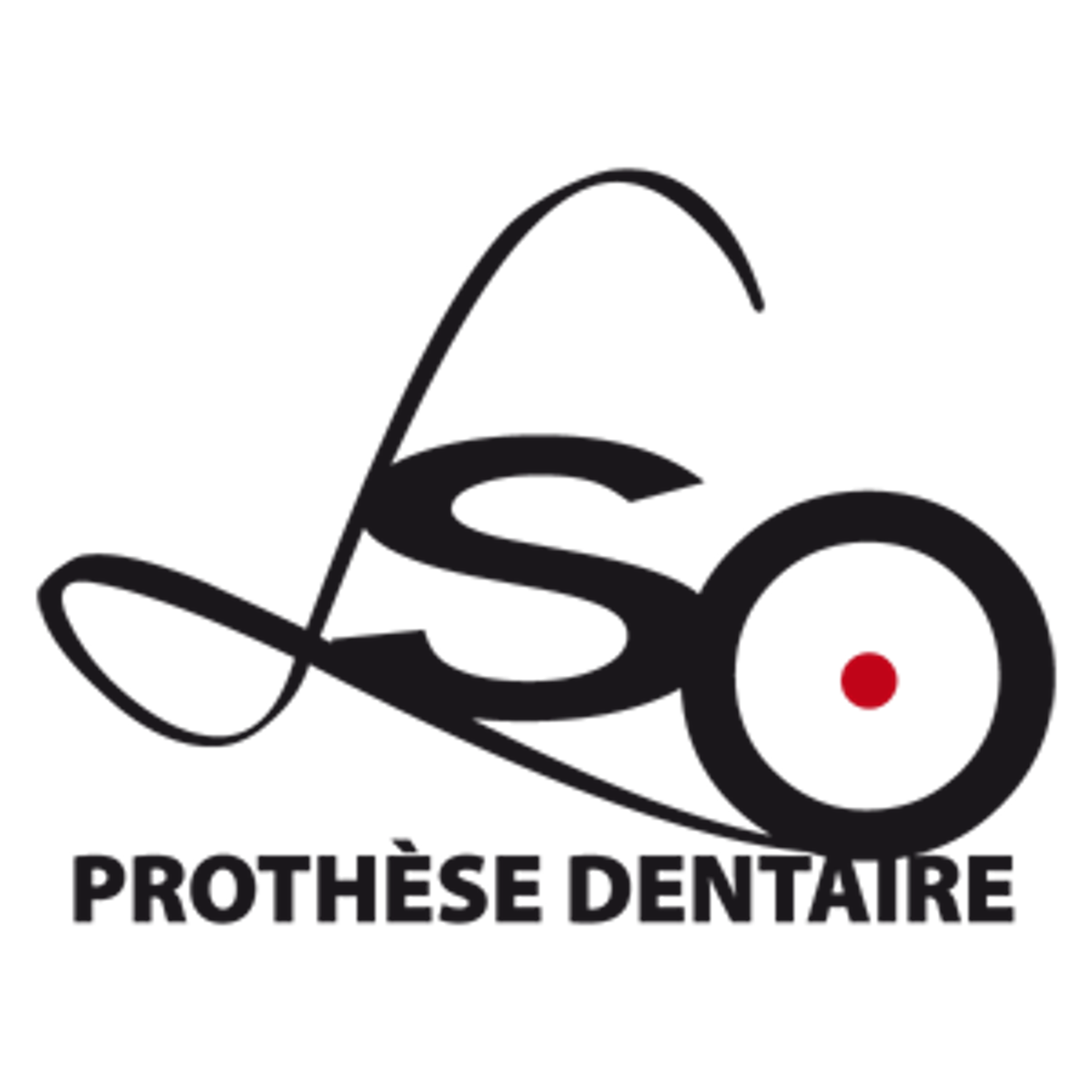 Laboratoire du Sud Ouest