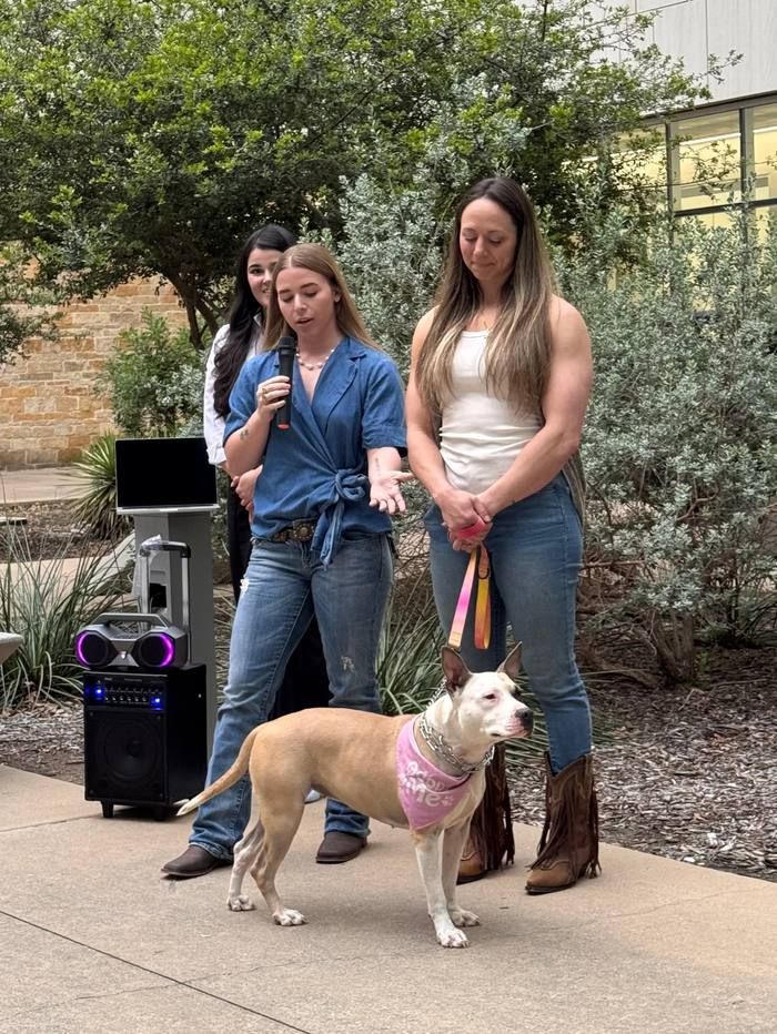 Faith, Cas & Luna from Lamb's Haven