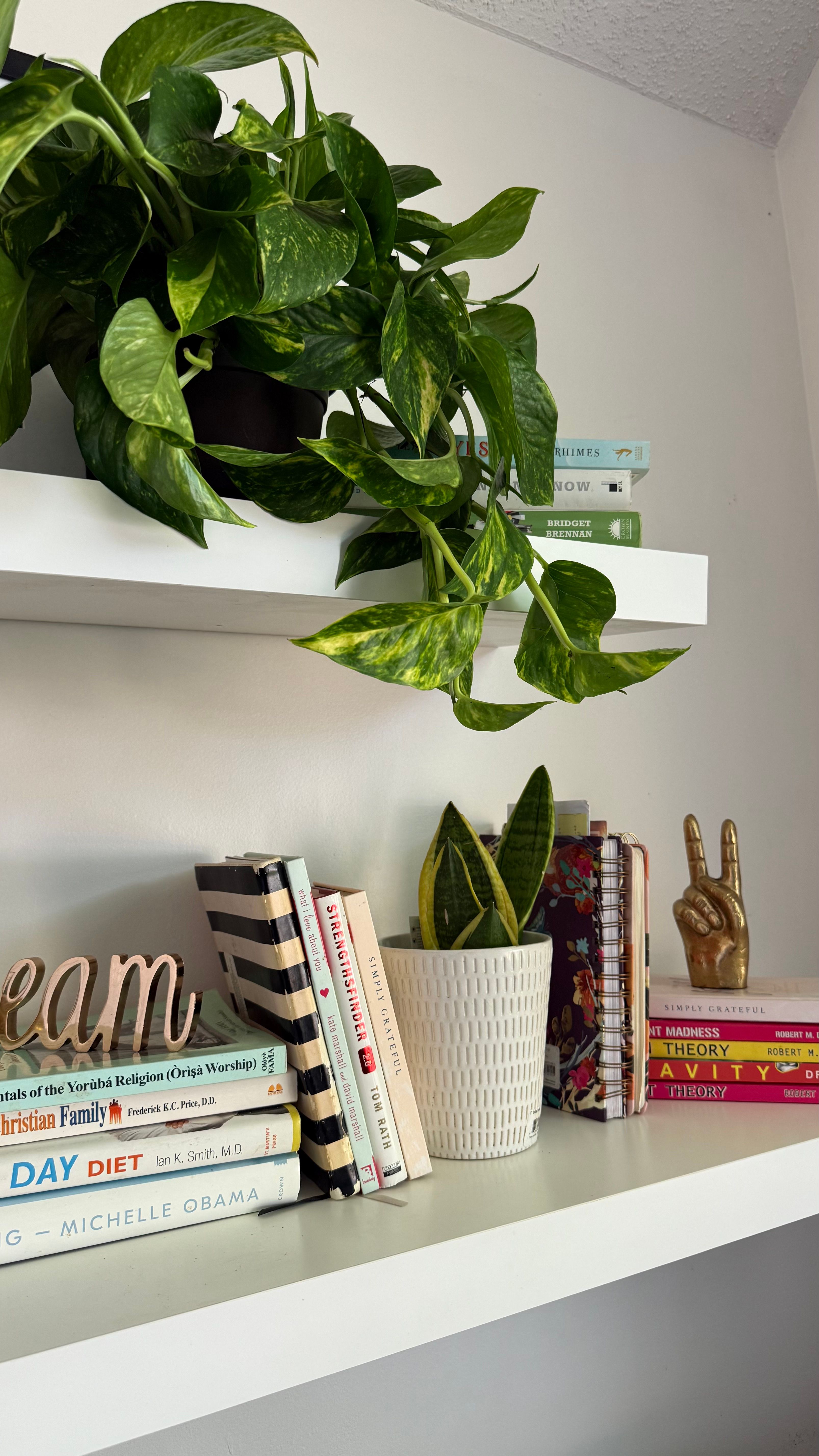 bookshelves in office
