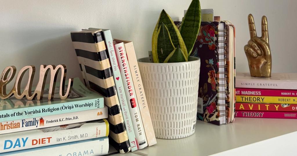 bookshelves in office