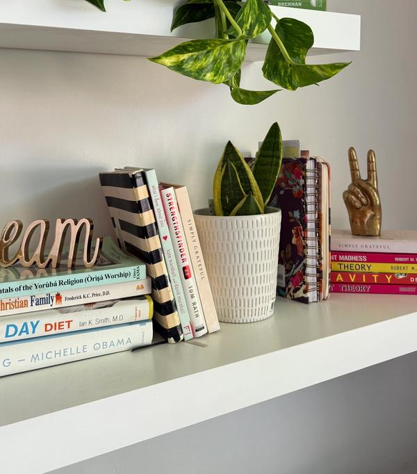 bookshelves in office